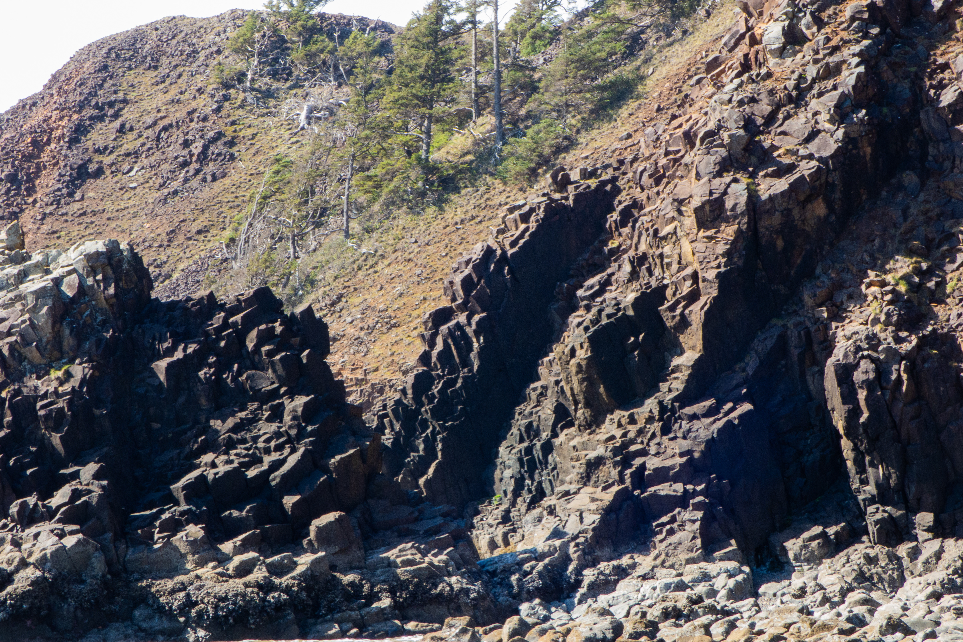 Cannon Beach, OR - 3/17/2024