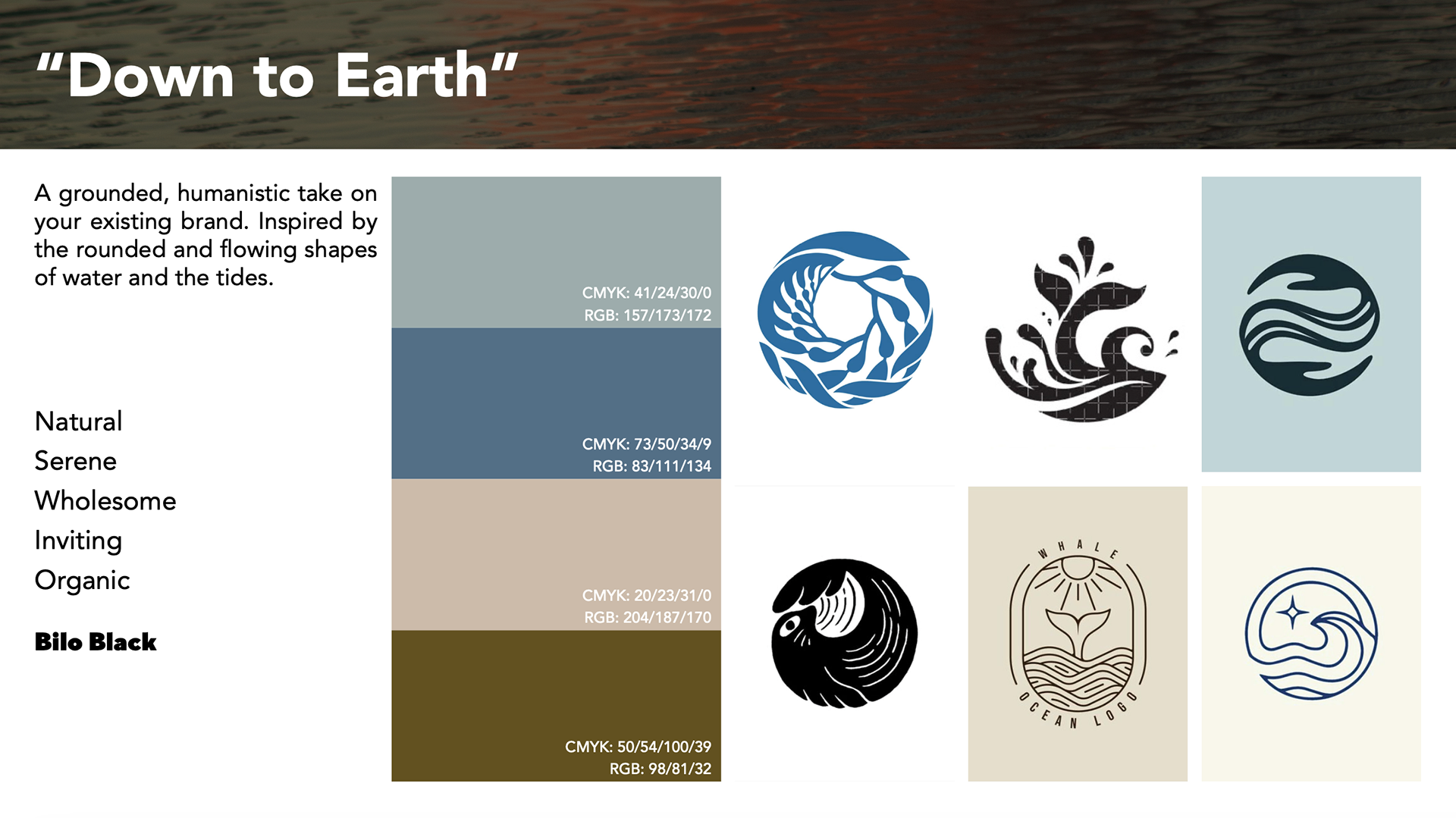 "Down to Earth" Territory, curated by Ivy Parker