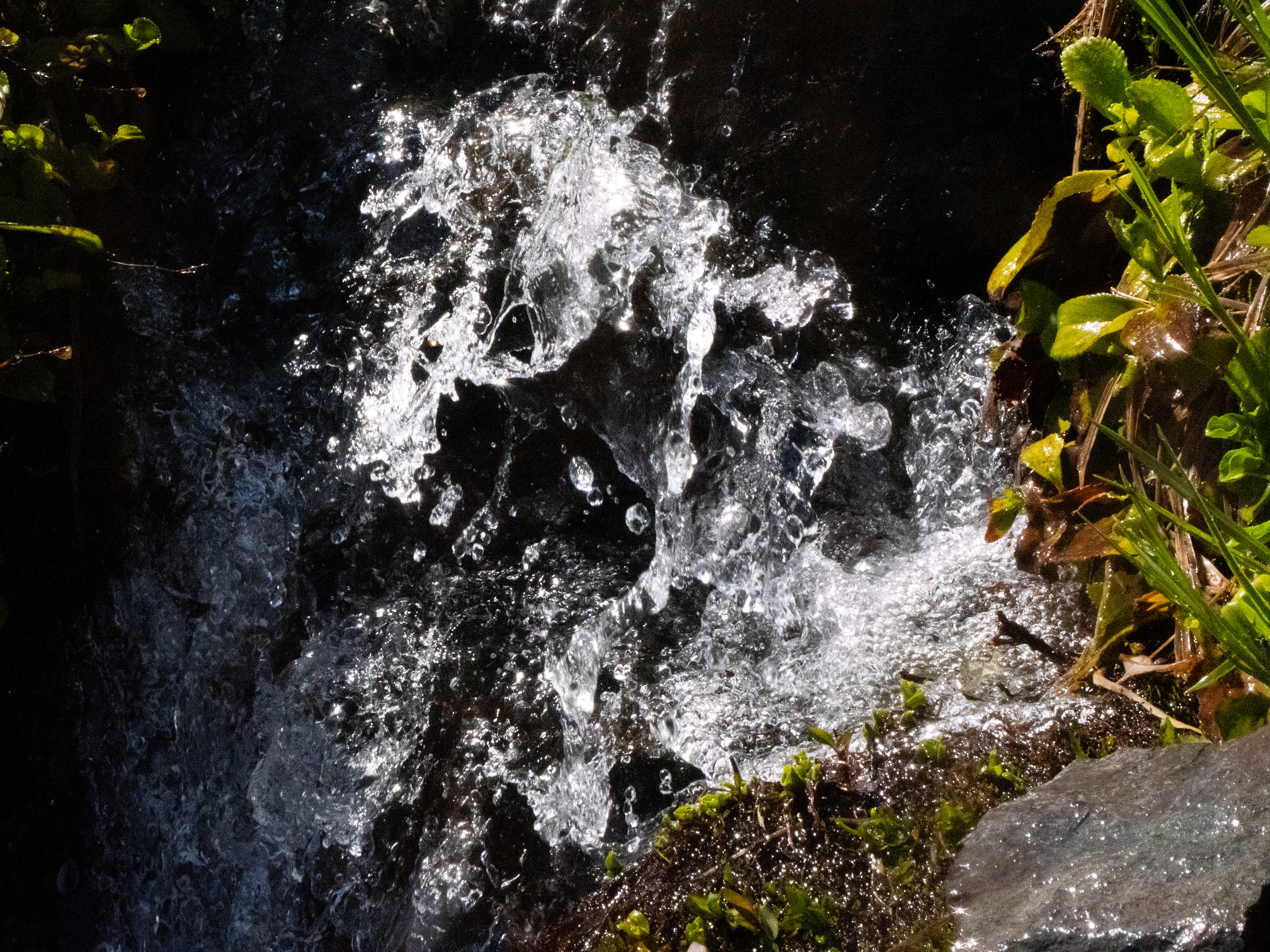 Chain Lakes Trail, WA - 7/9/2024