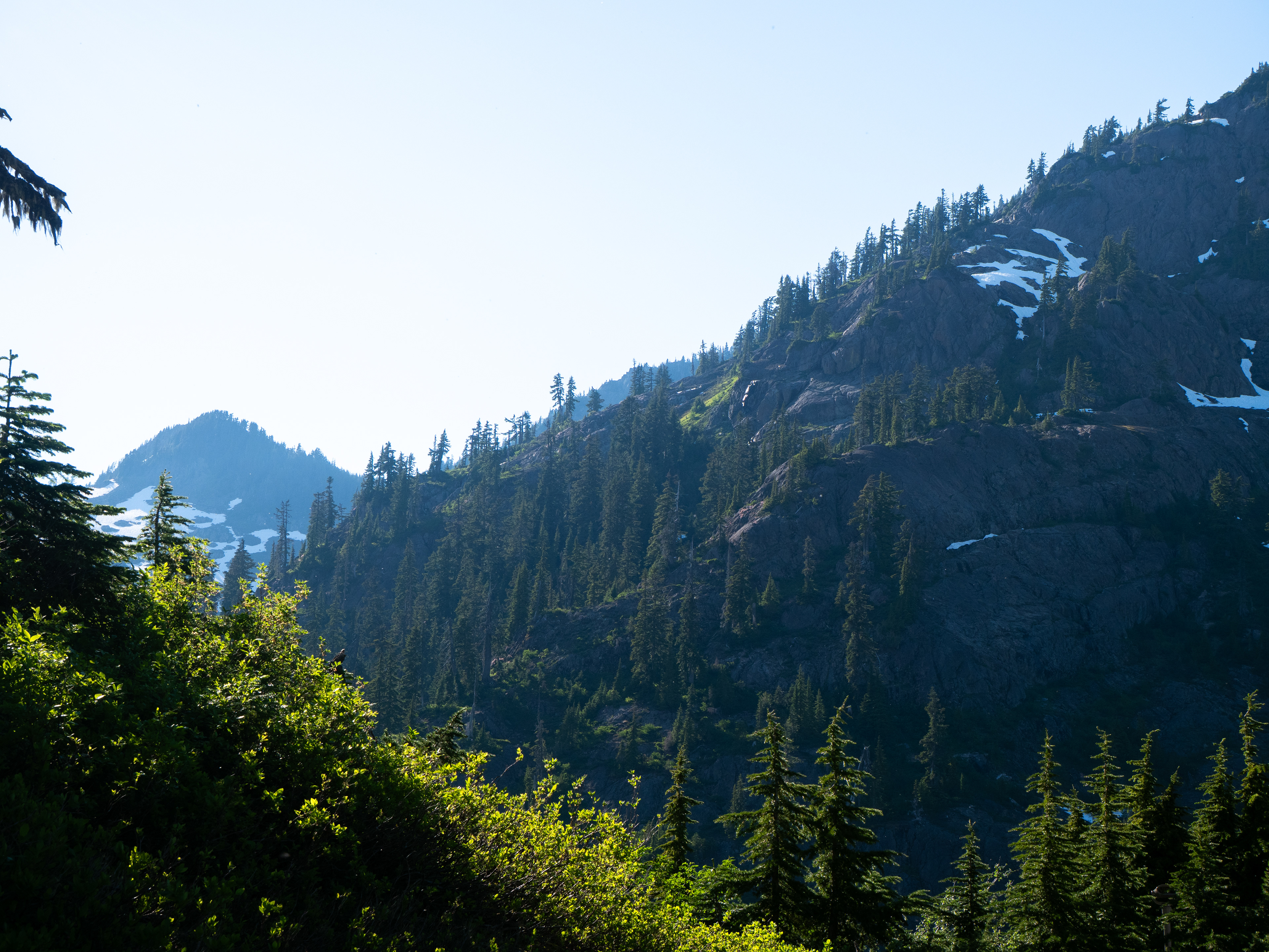 Chain Lakes Trail, WA - 7/9/2024