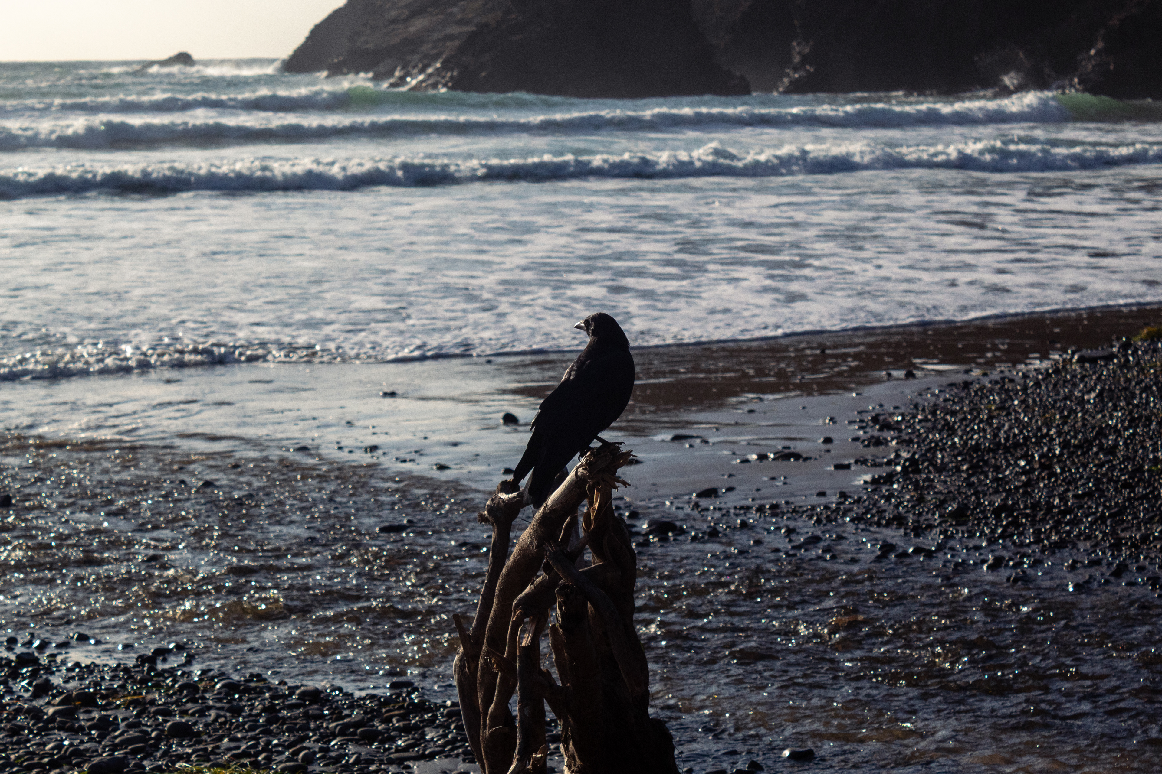 Ecola State Park, OR - 10/12/2025