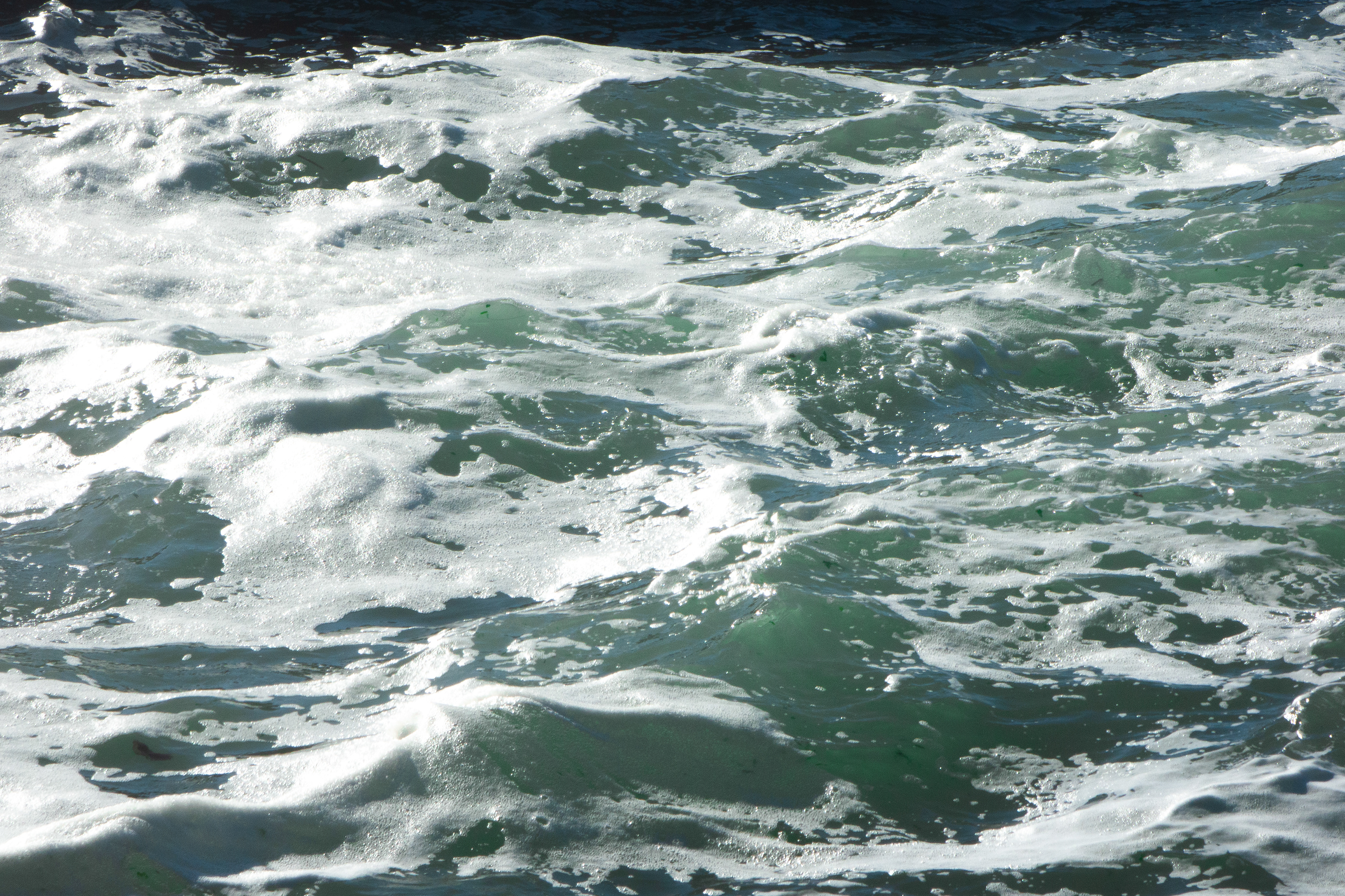Cape Perpetua, OR - 9/20/2024