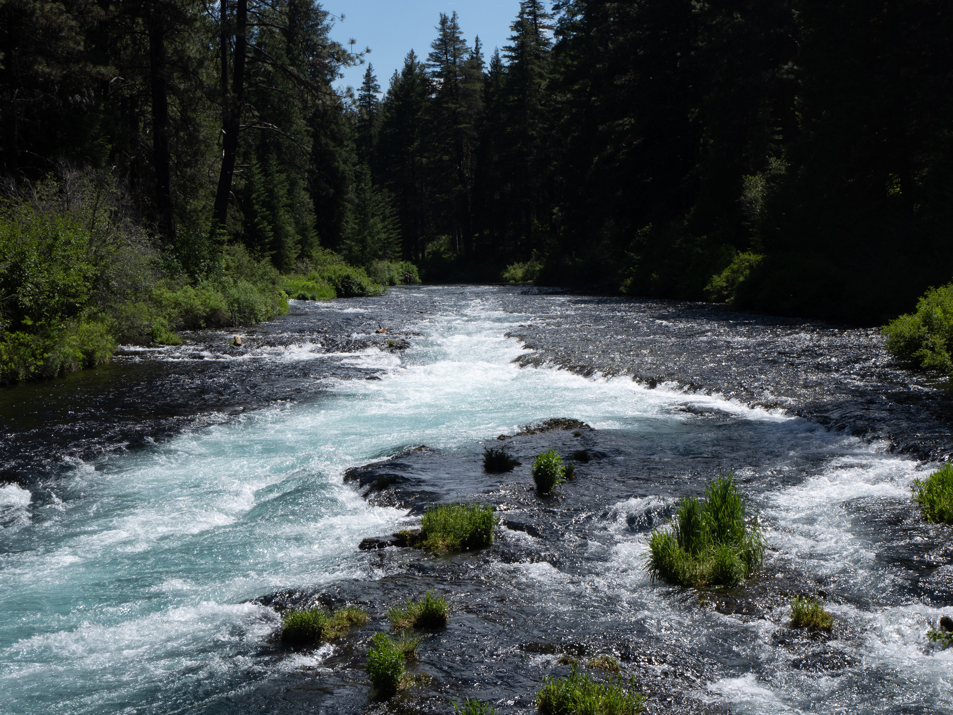 Camp Sherman, OR - 6/8/2024