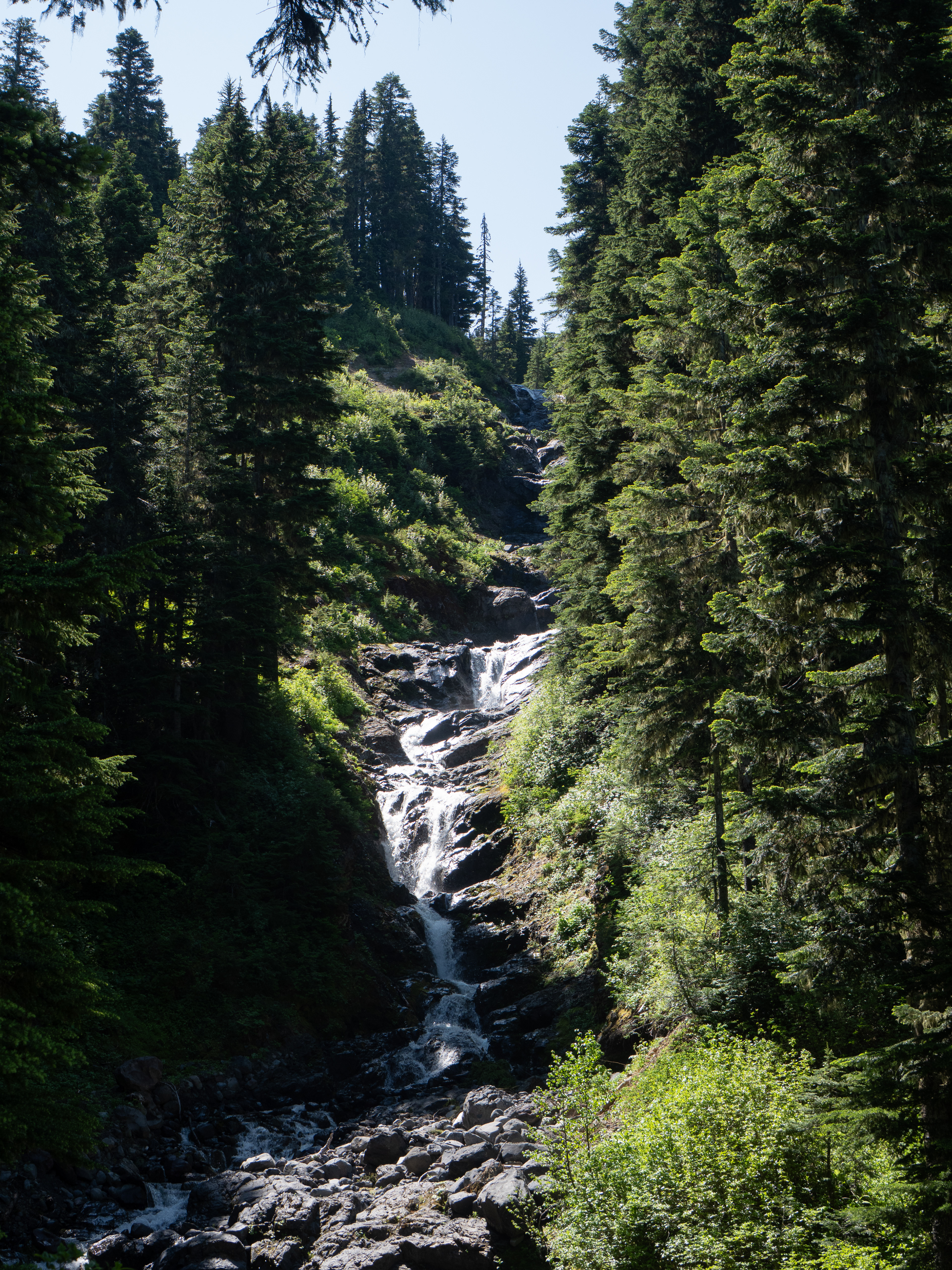 Heliotrope Ridge Trail, WA - 7/11/2024