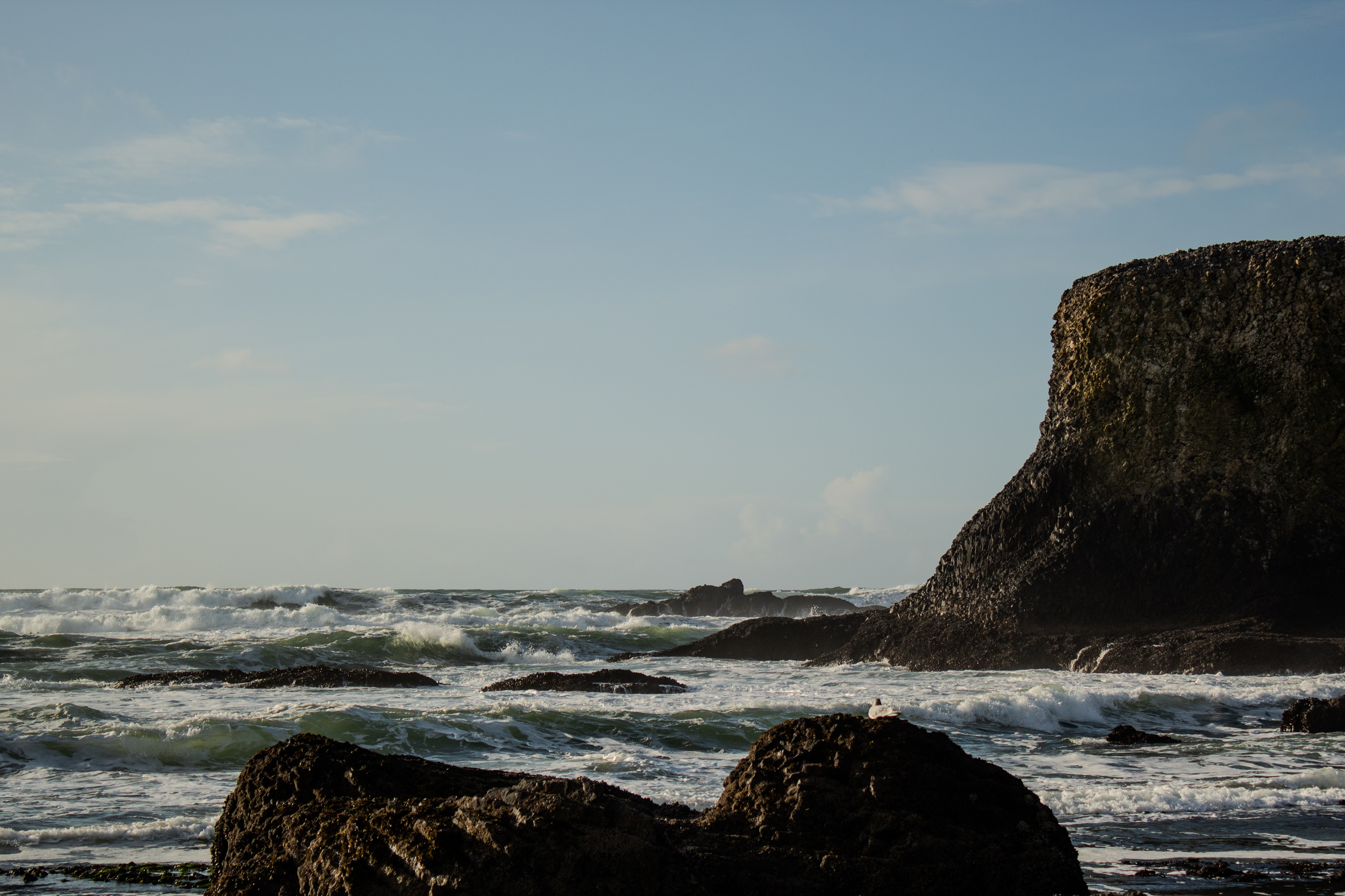 Newport, OR - 12/29/2024