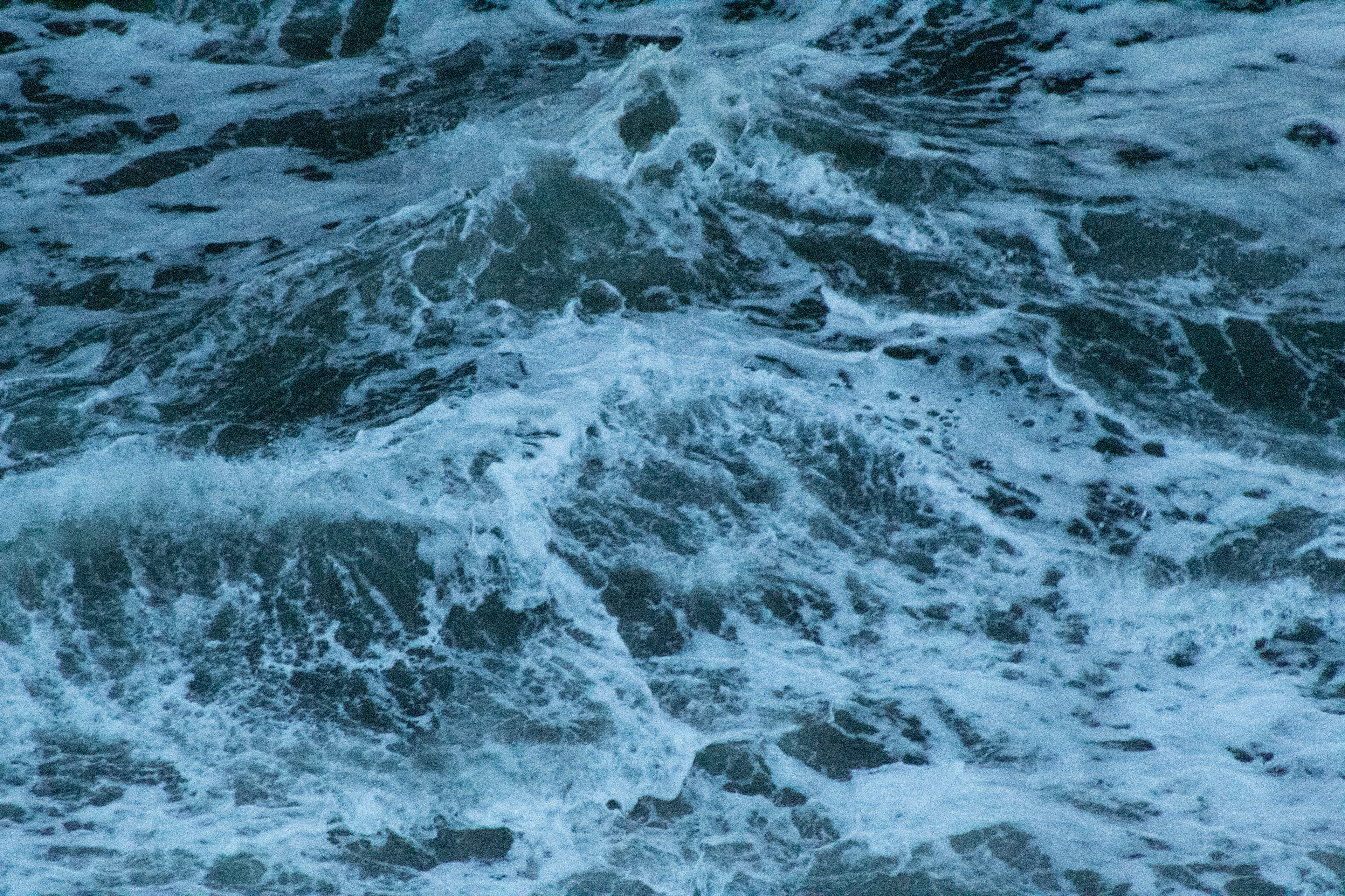 Heceta Head, OR - 12/31/2024