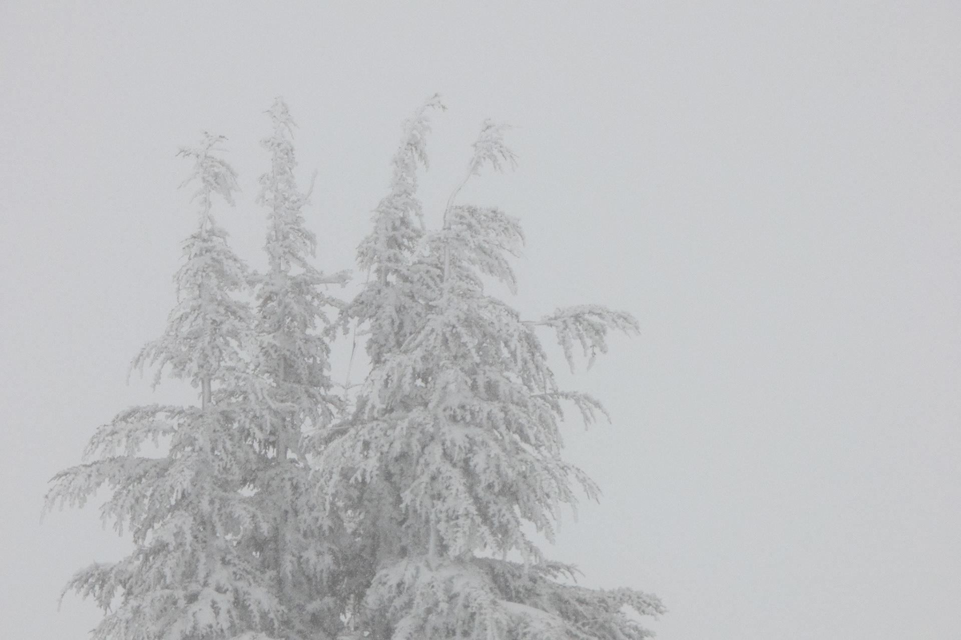 Timberline Lodge, OR - 3/28/2024