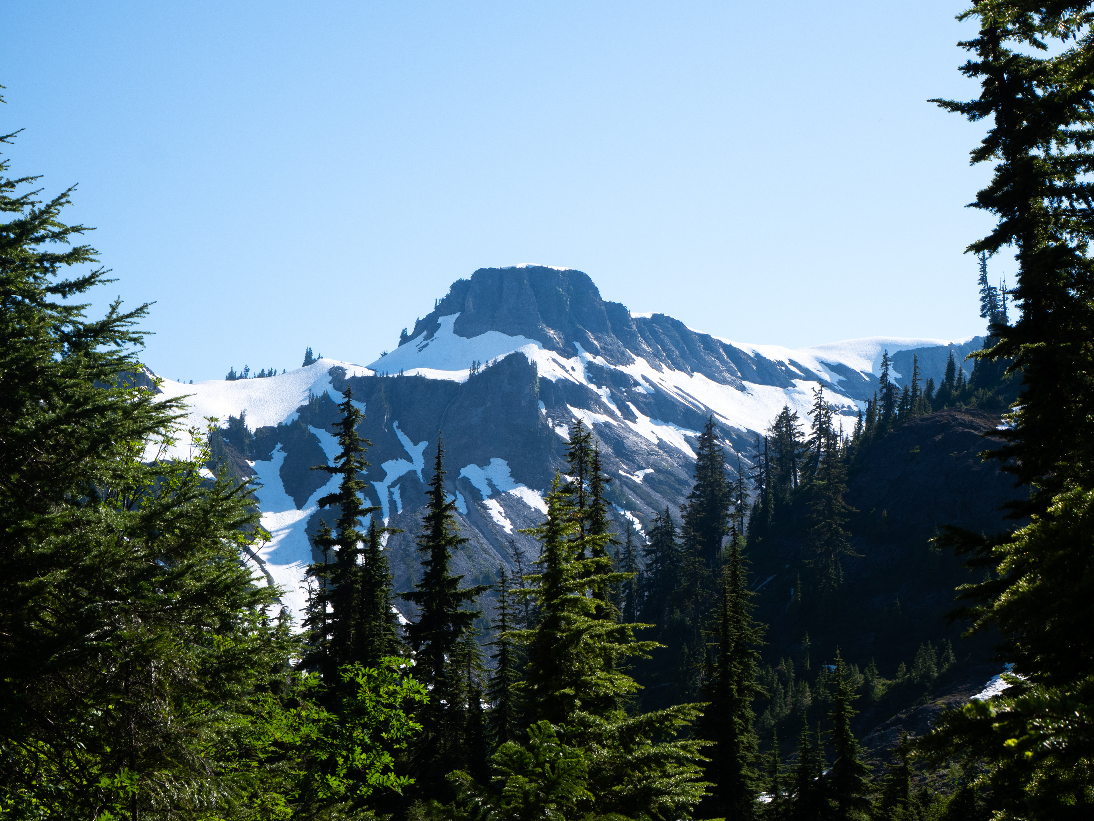 Chain Lakes Trail, WA - 7/9/2024