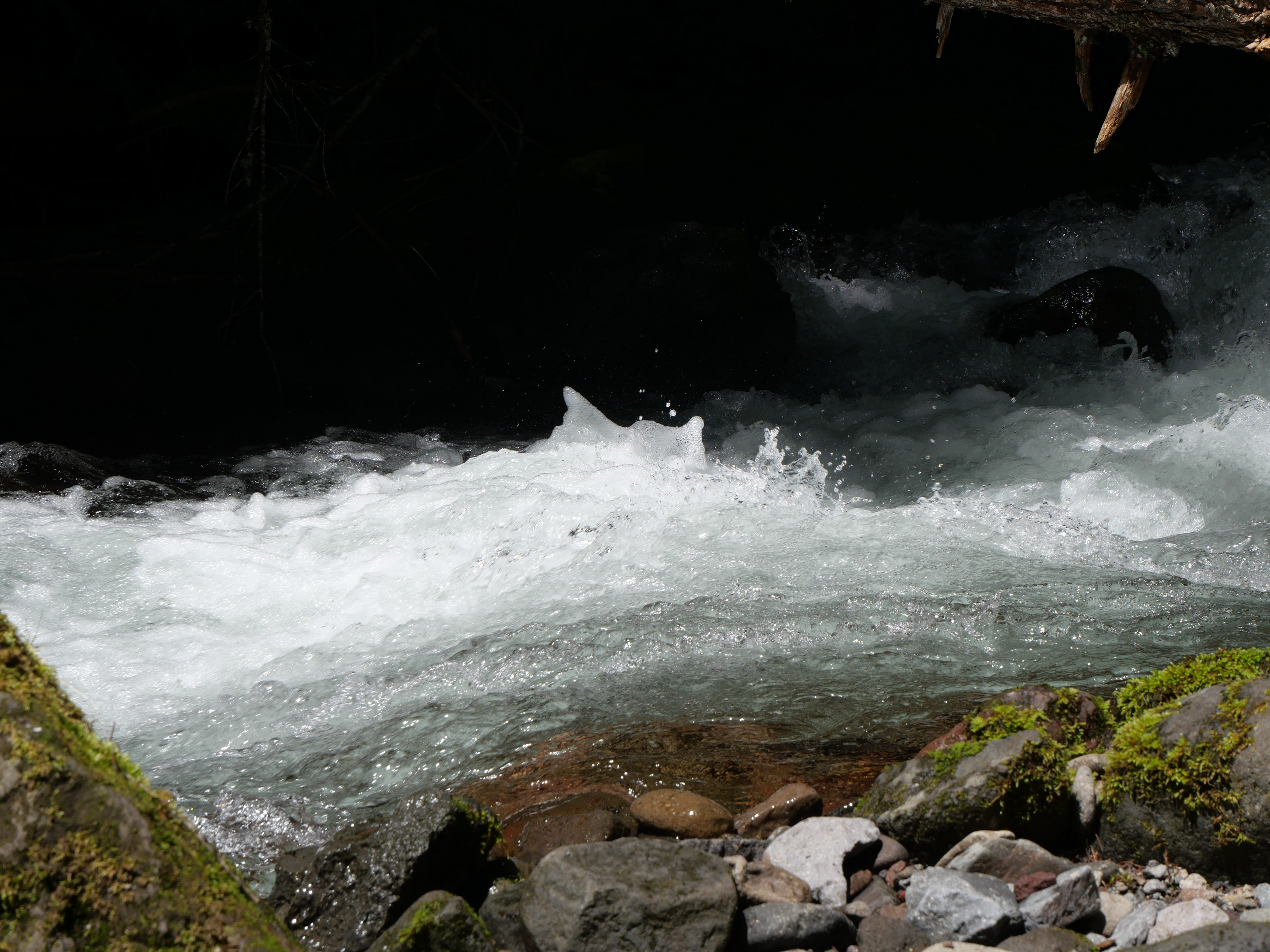 Tamanawas Falls, OR - 5/26/2024