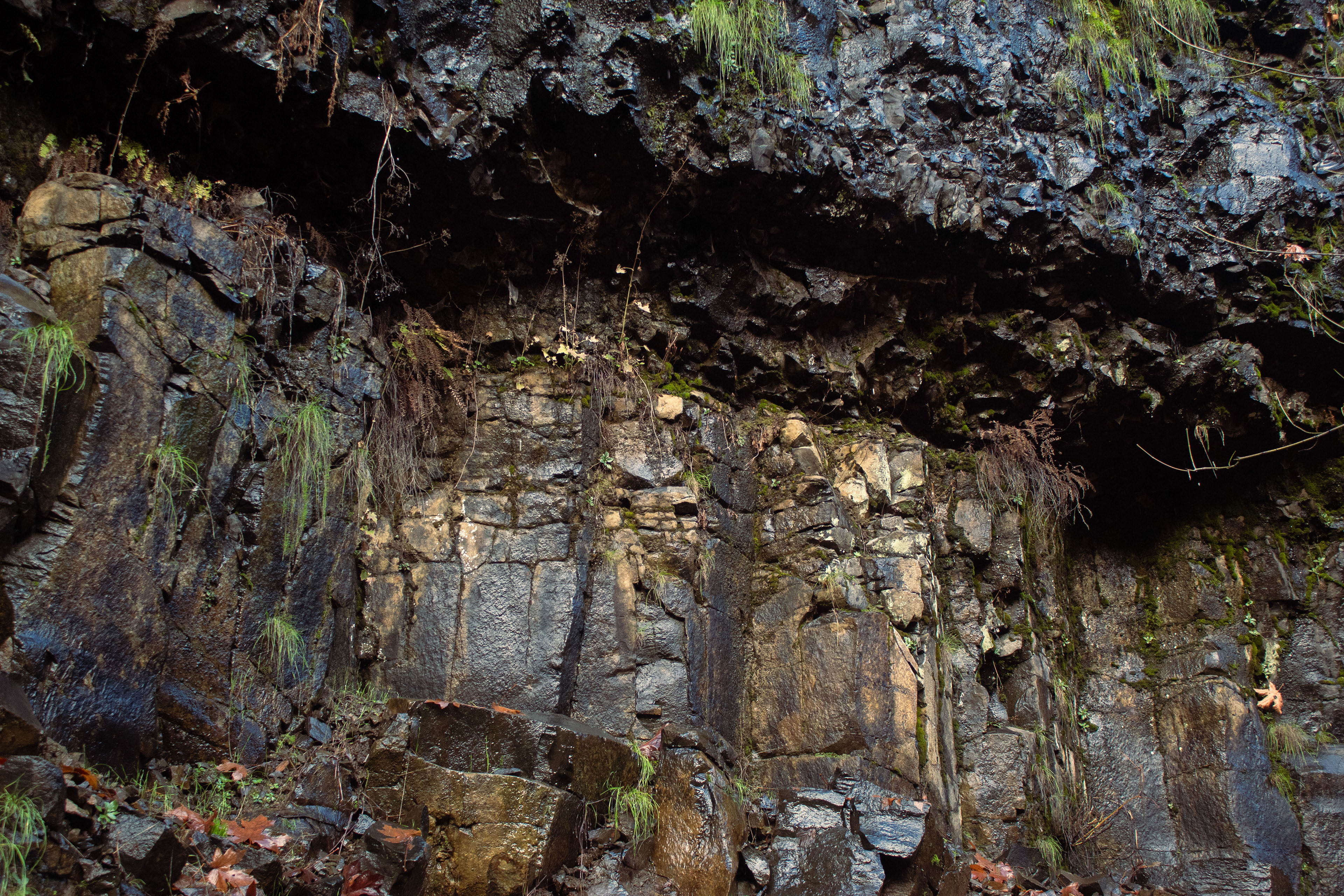 Eagle Creek, OR - 11/20/2025