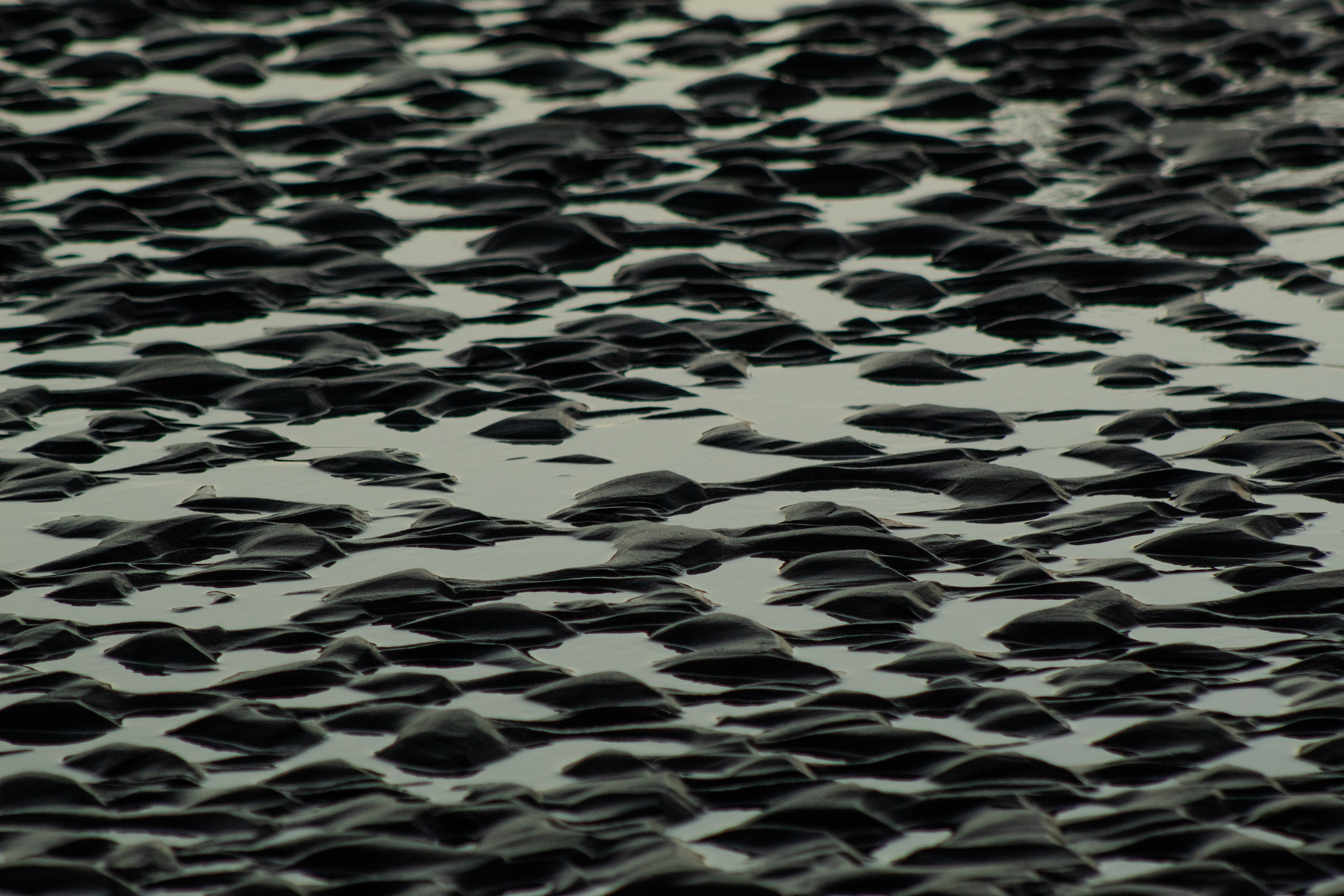 Ona Beach, OR - 12/29/2024