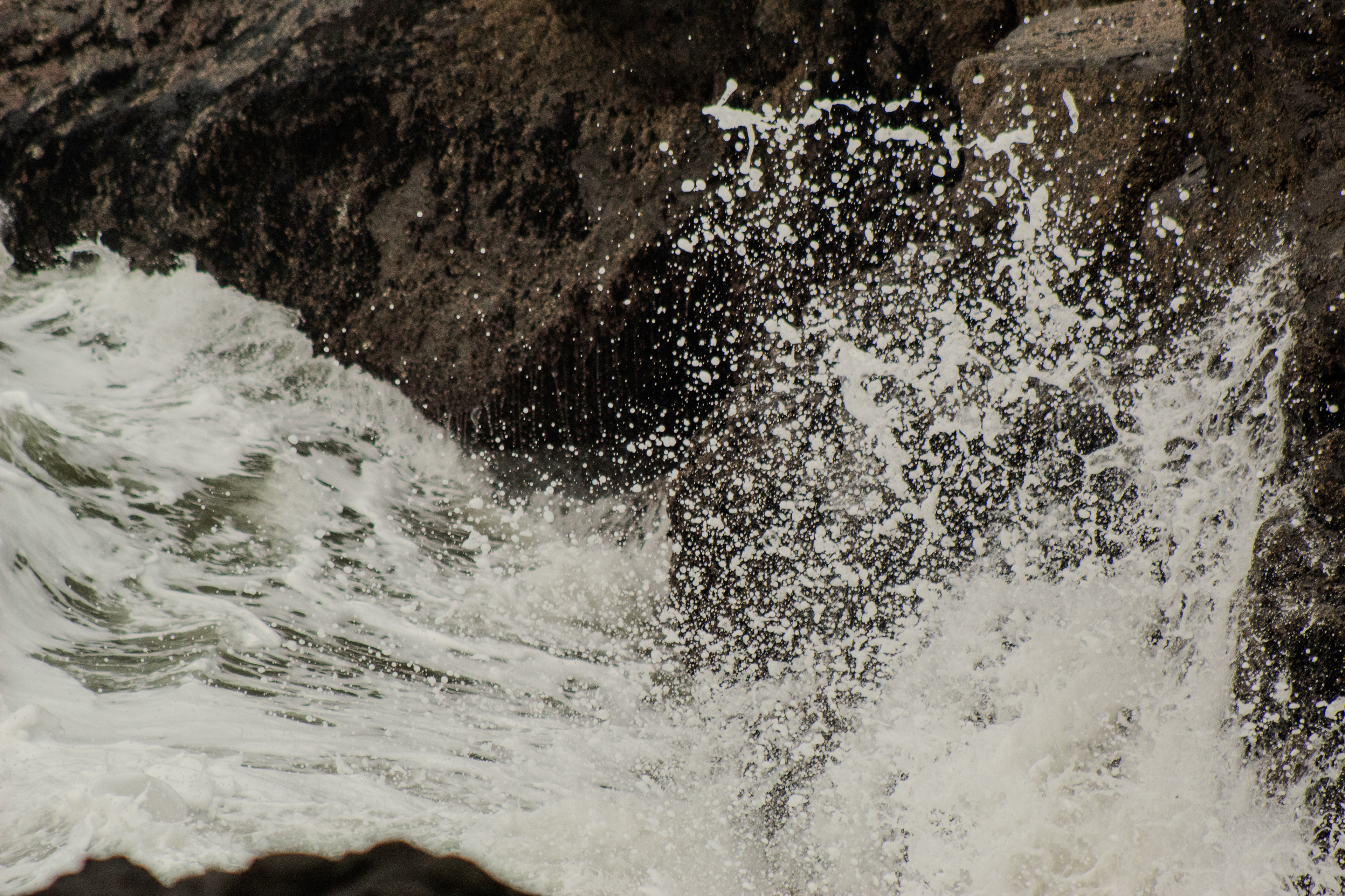 Cape Perpetua, OR - 12/30/2024