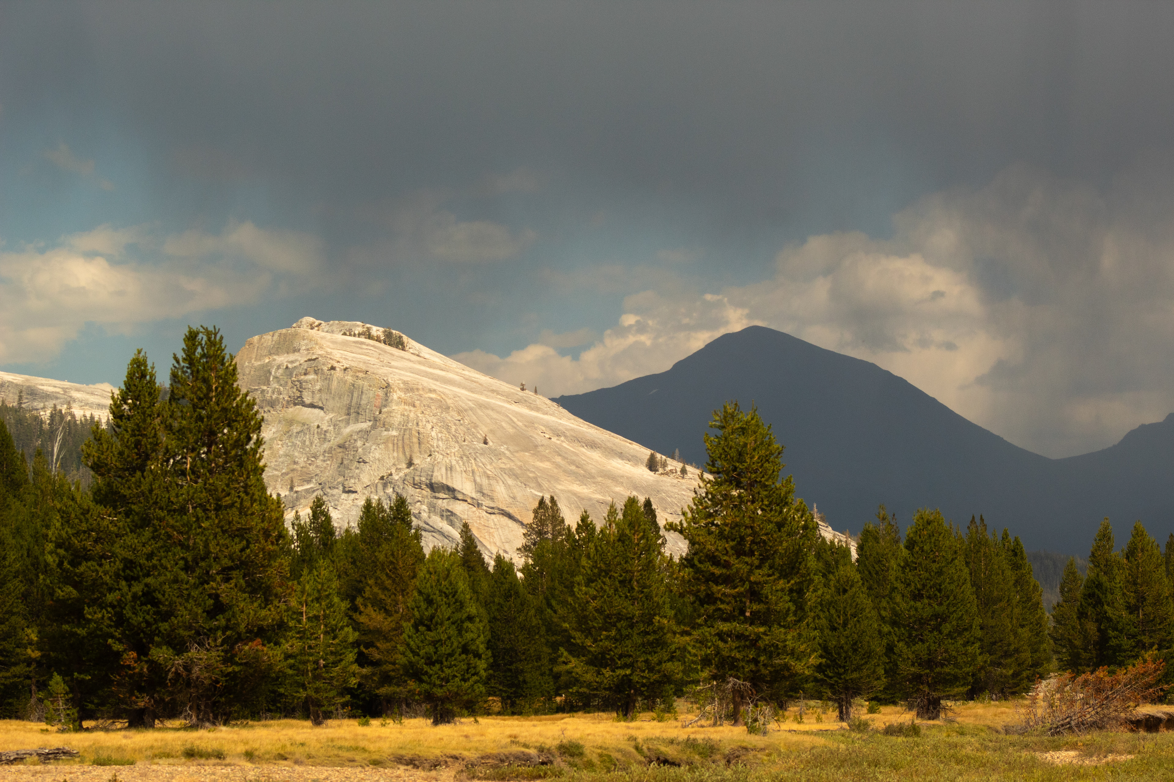 Tuolumne Meadows, CA - 8/12/2025