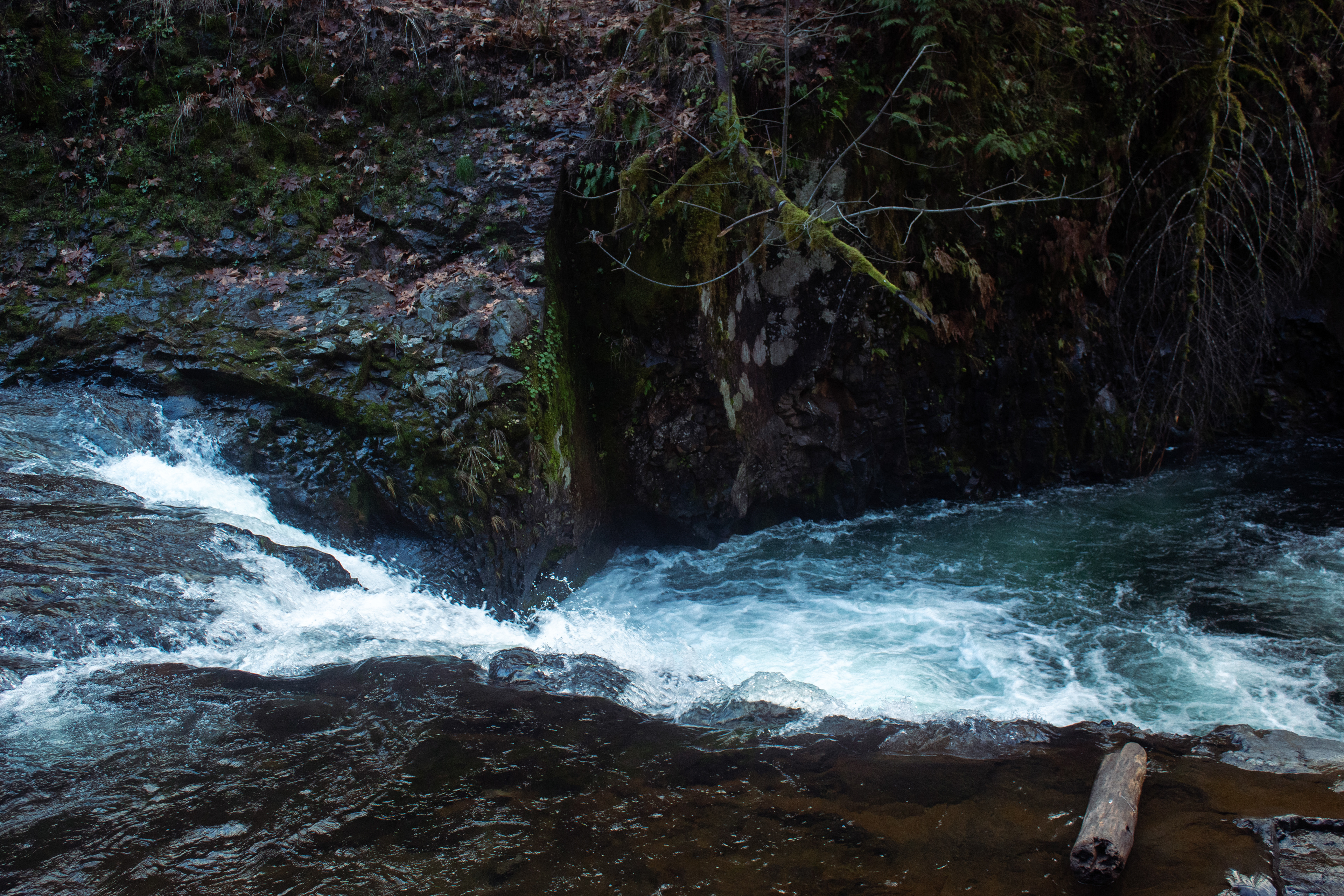 Eagle Creek, OR - 11/20/2025