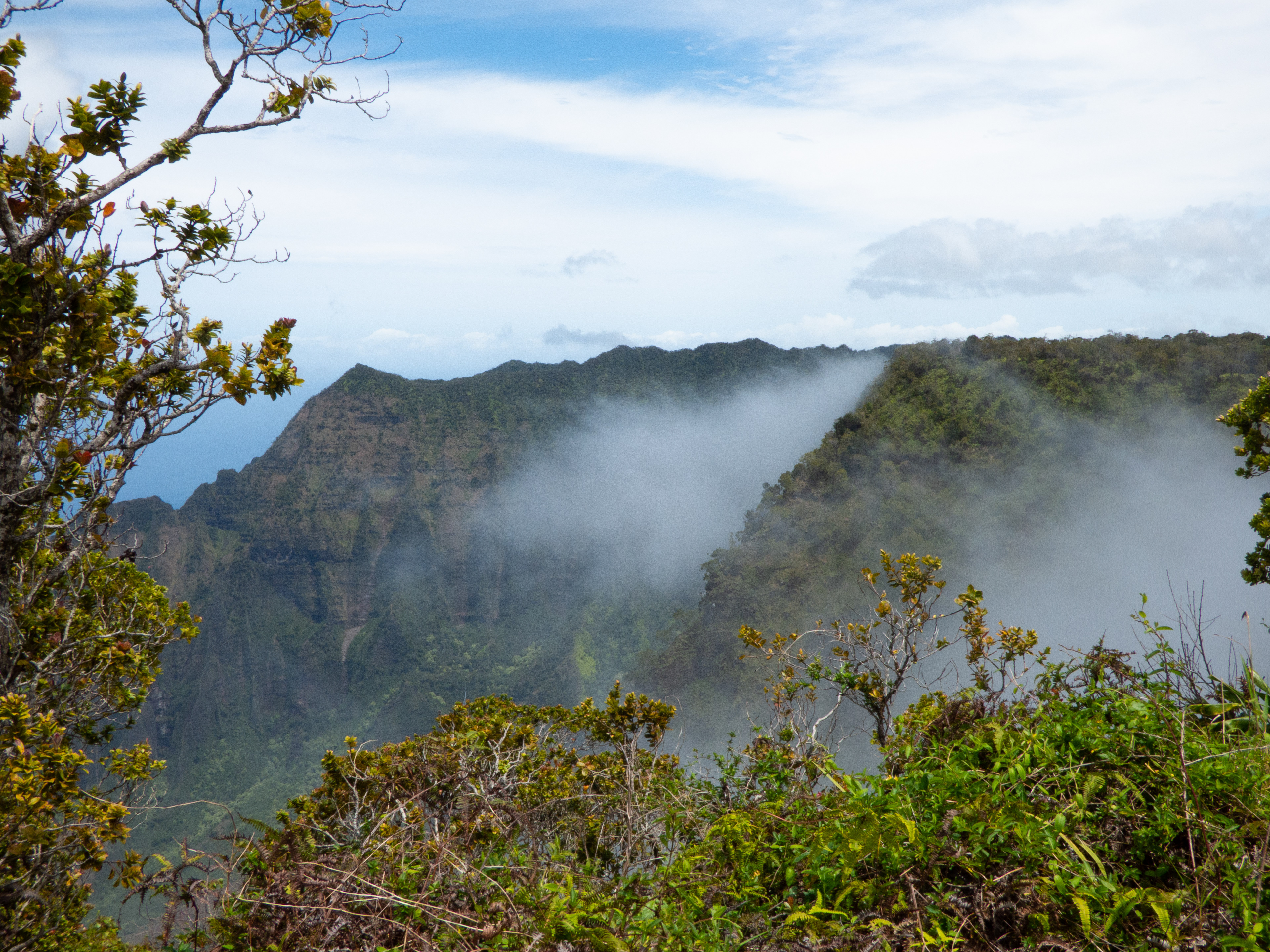 Waimea Canyon State Park, Kauai - 3/30/2023