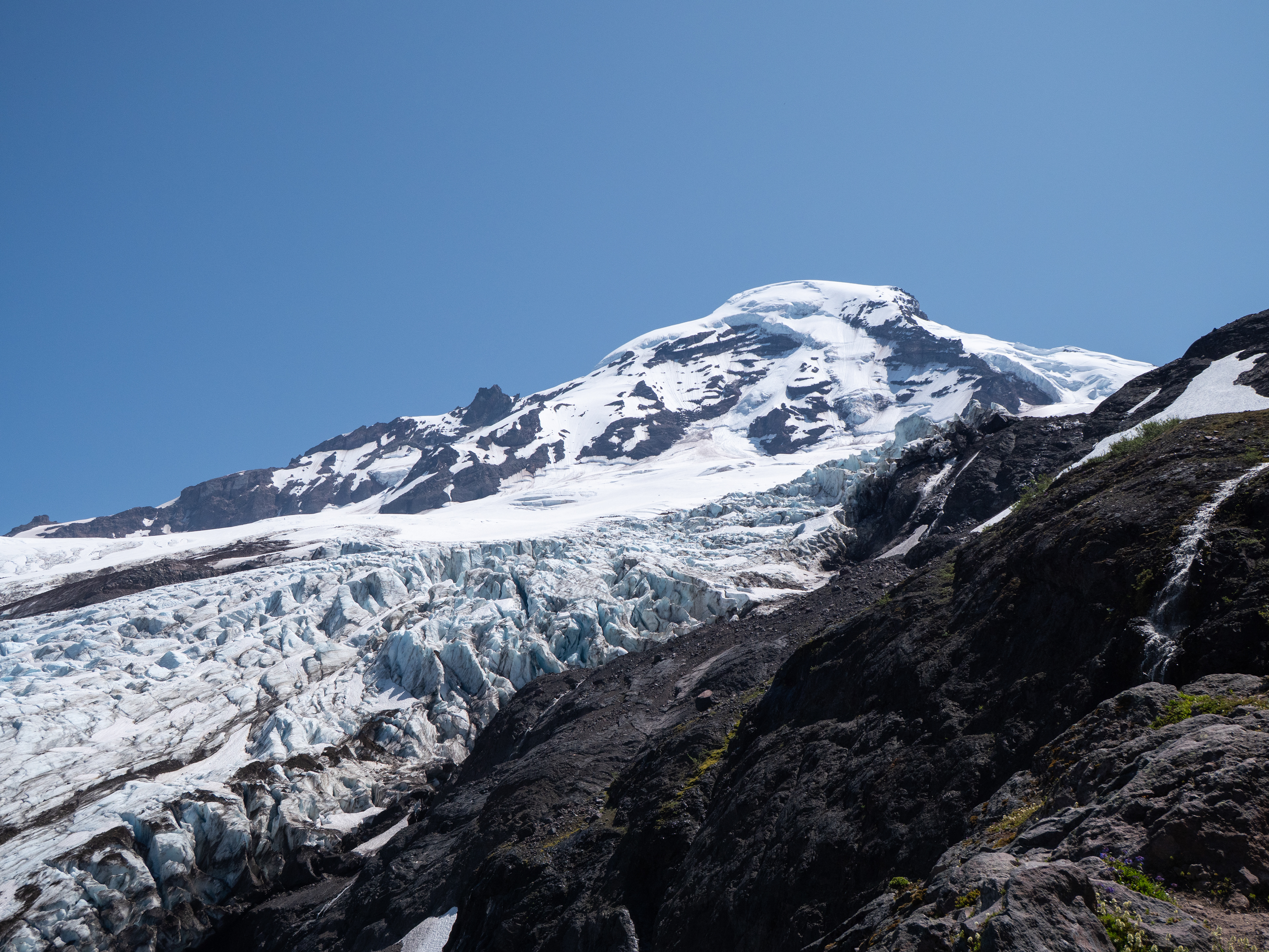 Heliotrope Ridge Trail, WA - 7/11/2024