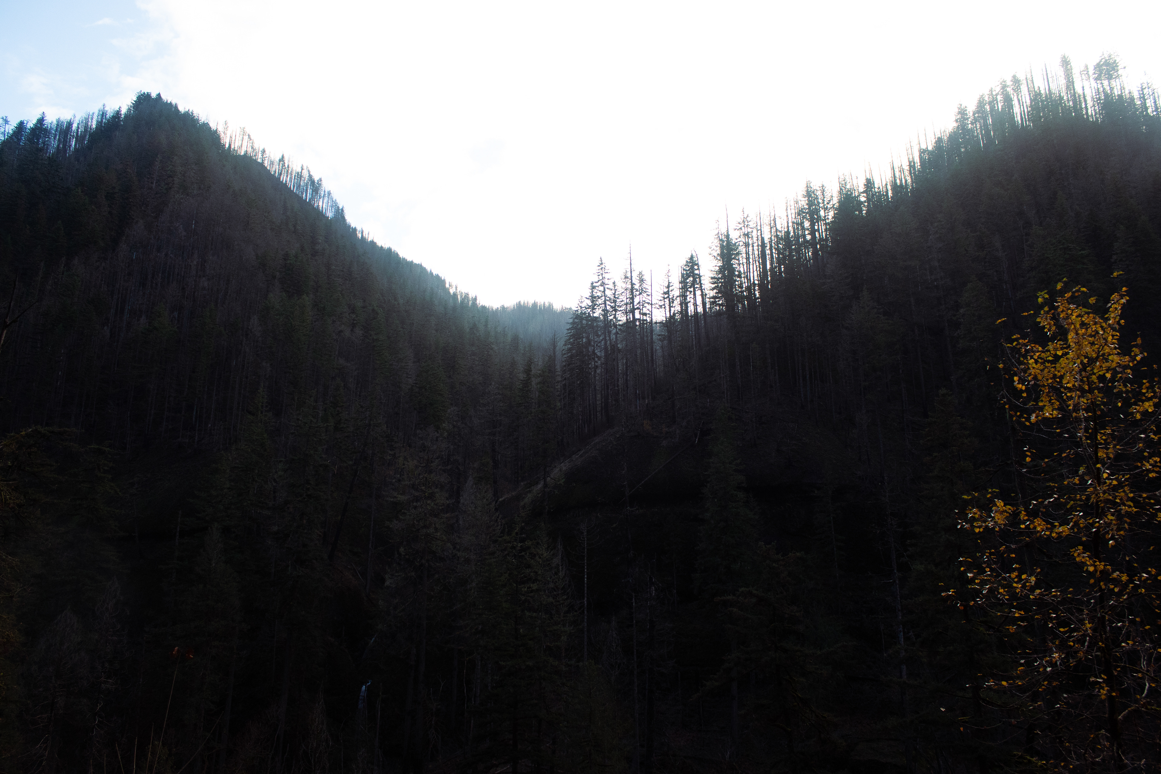 Eagle Creek, OR - 11/20/2025