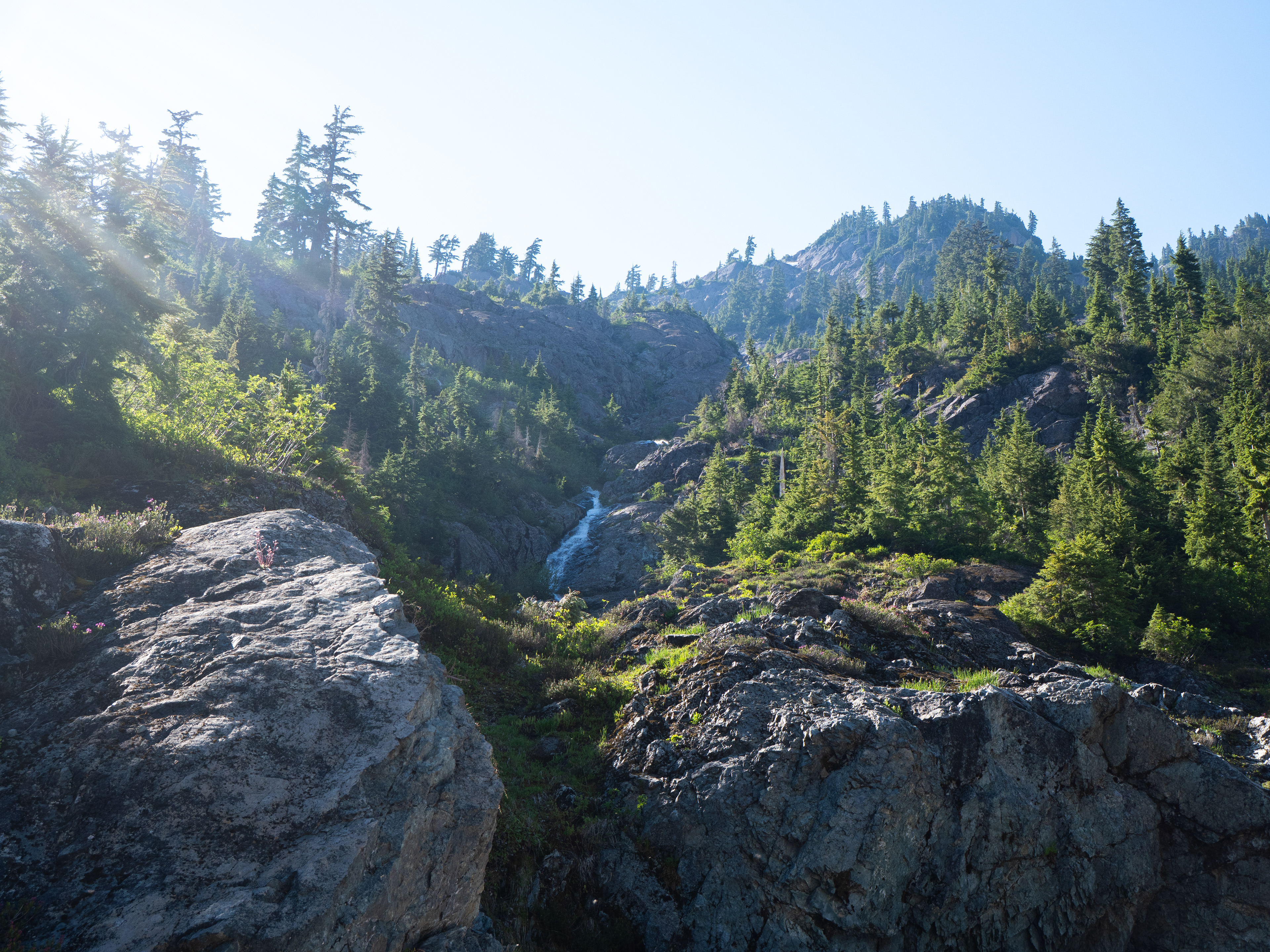 Chain Lakes Trail, WA - 7/9/2024