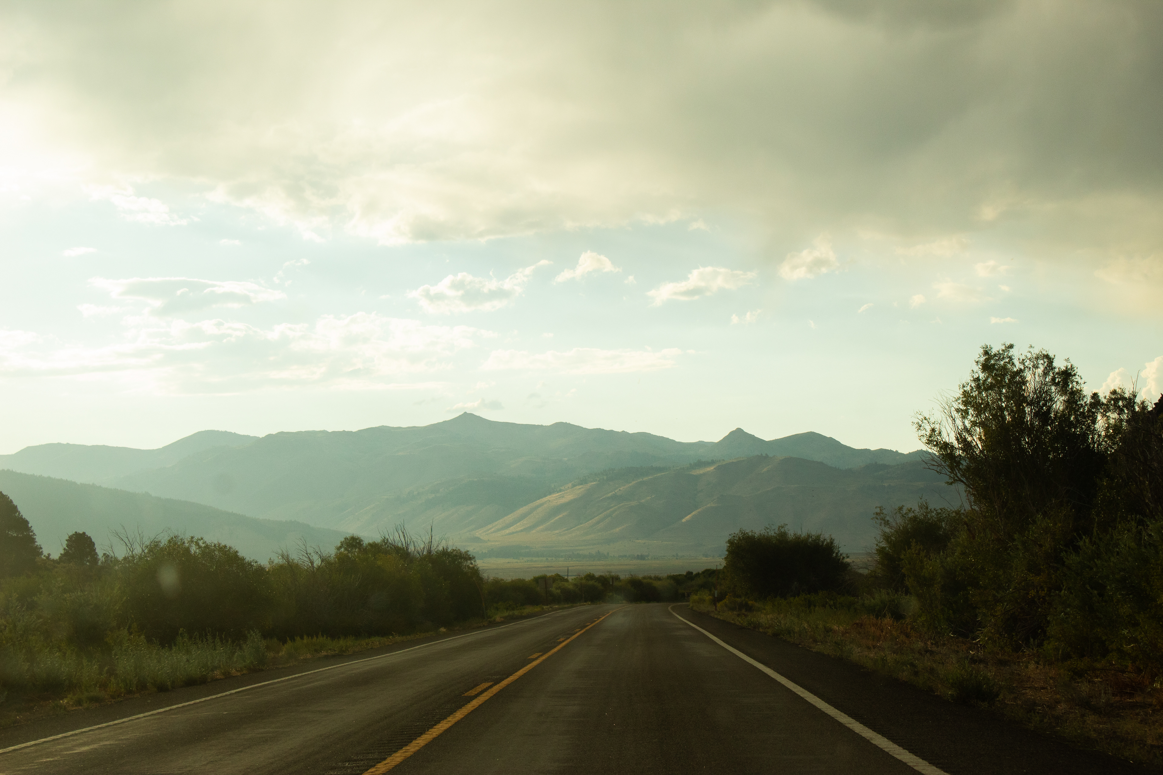 Dog Town, CA - 8/12/2025