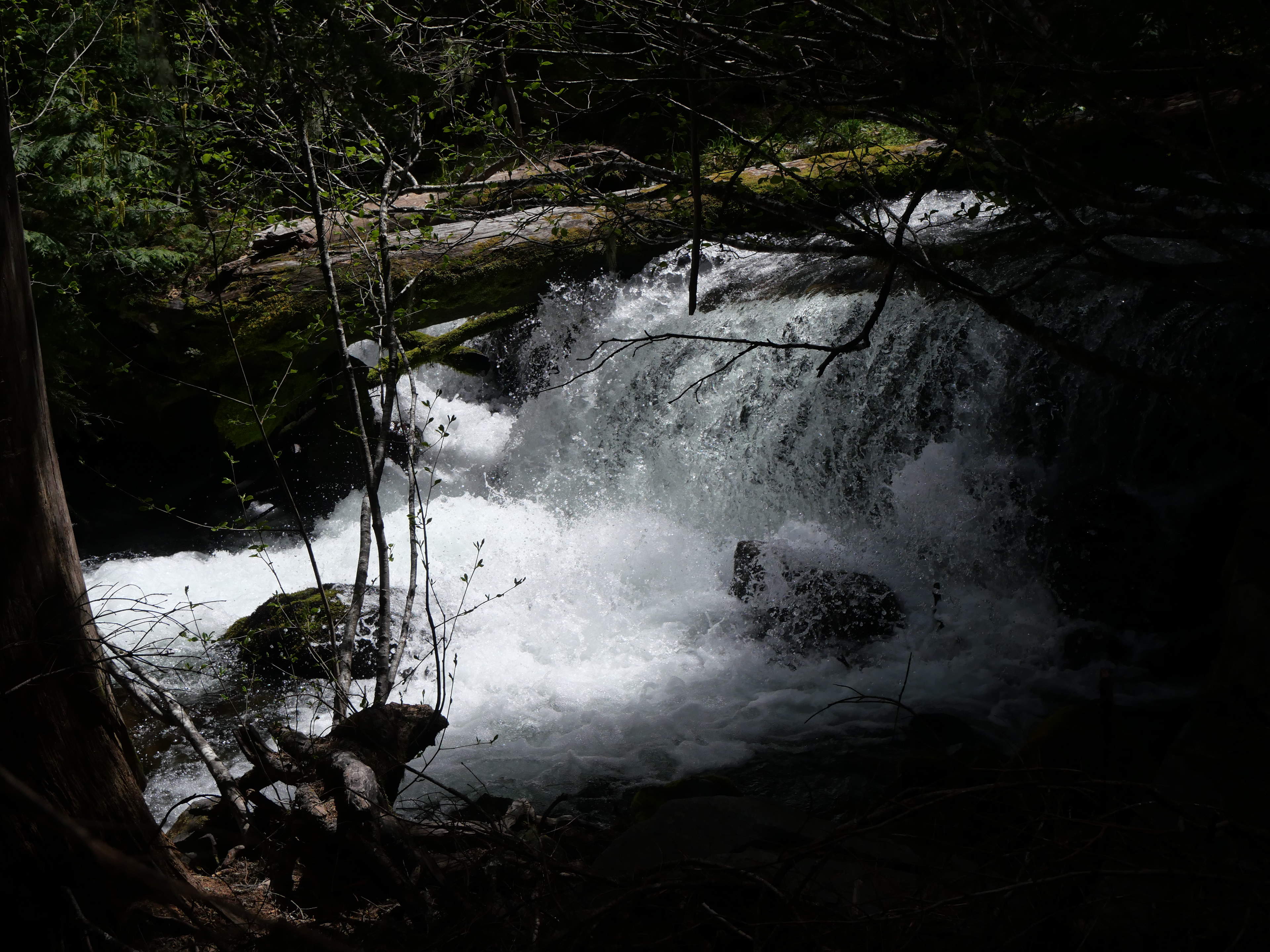 Tamanawas Falls, OR - 5/26/2024