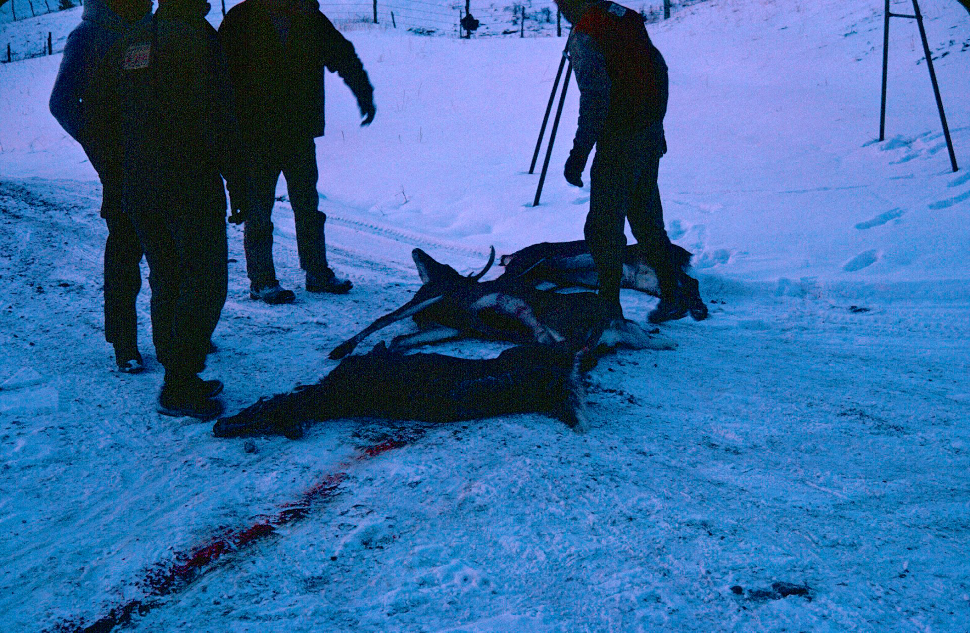 These were slides taken by my father in the early 1960's at the McCorkle Farm after a big deer hunting expedition