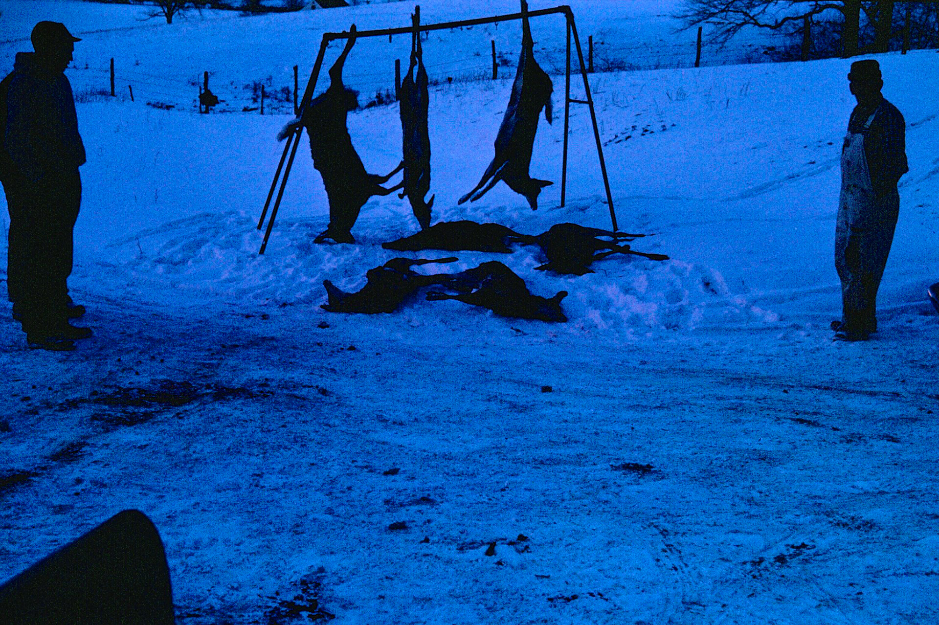 These were slides taken by my father in the early 1960's at the McCorkle Farm after a big deer hunting expedition