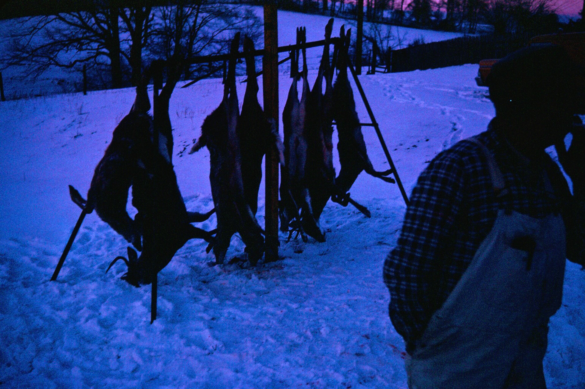 These were slides taken by my father in the early 1960's at the McCorkle Farm after a big deer hunting expedition