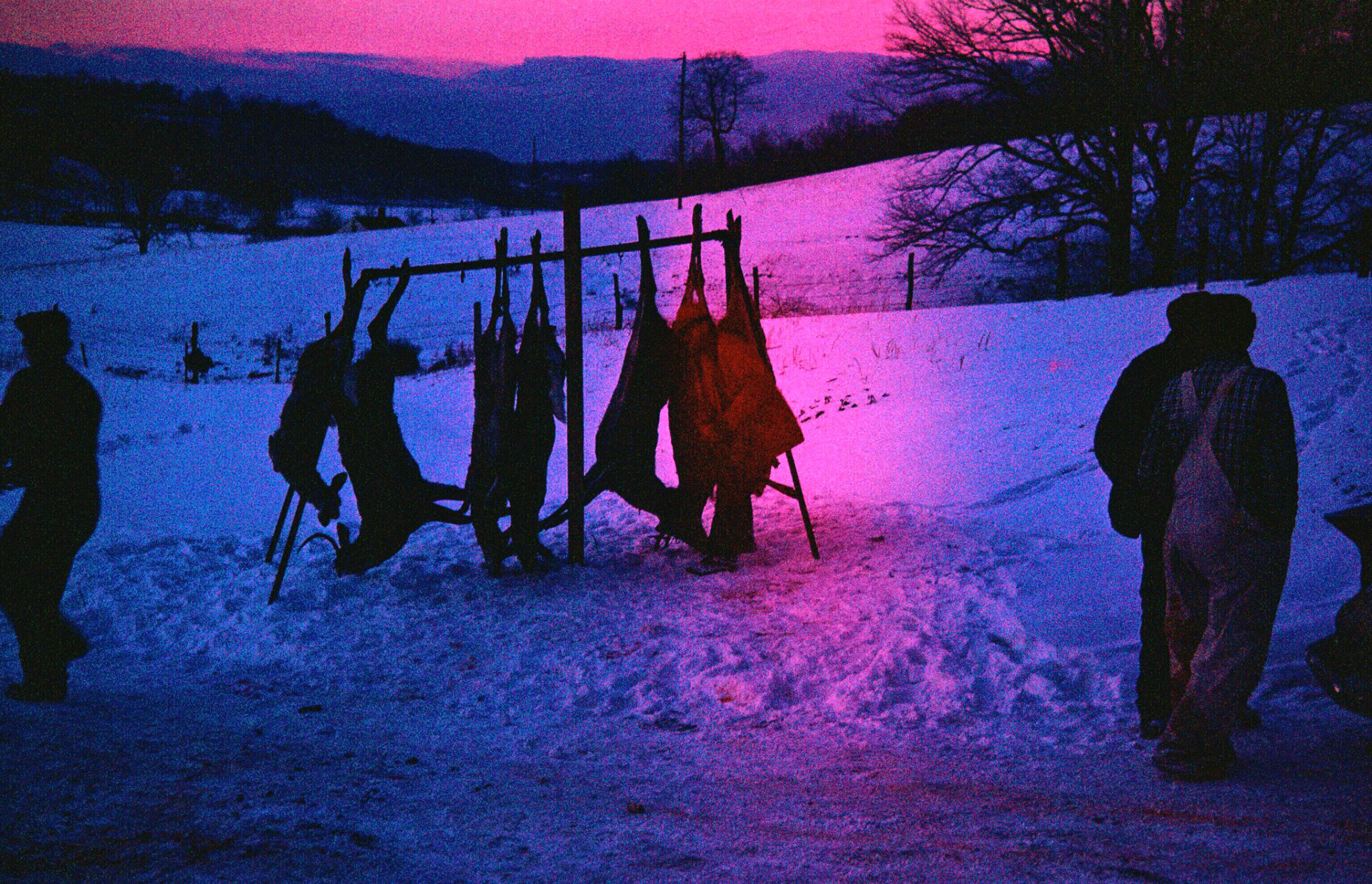 These were slides taken by my father in the early 1960's at the McCorkle Farm after a big deer hunting expedition