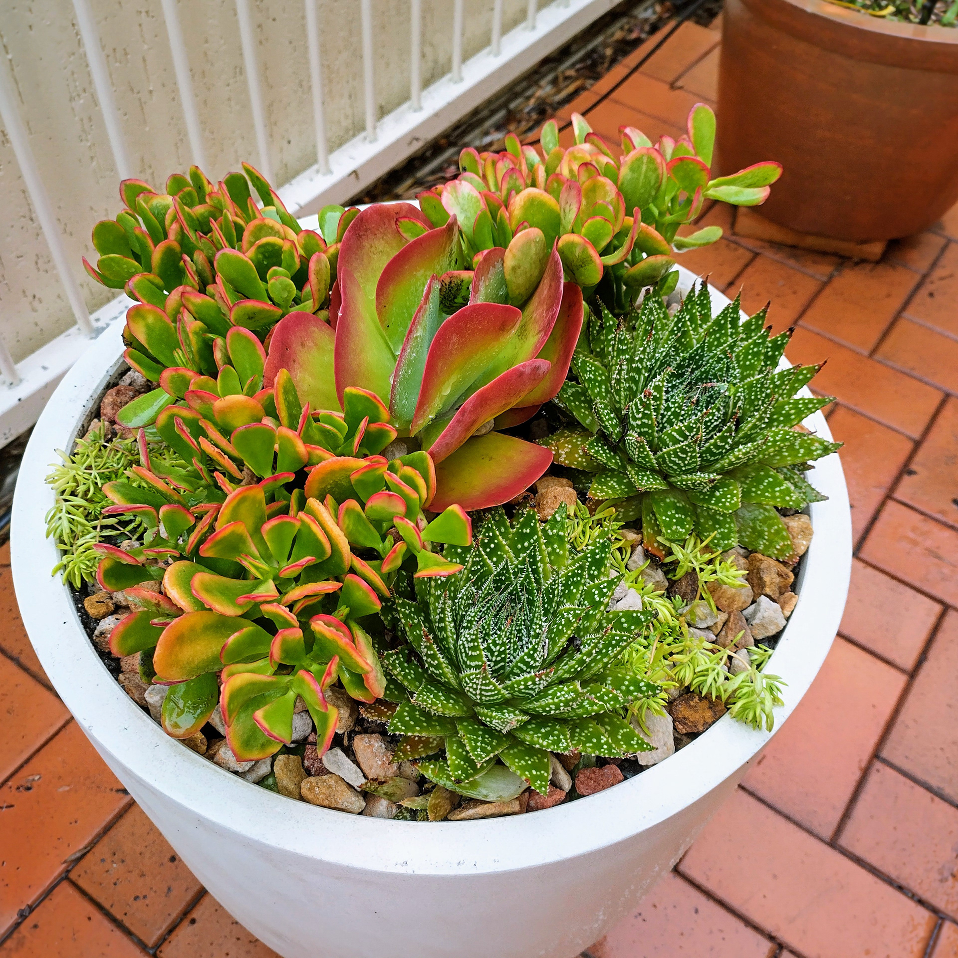 Feature Pot