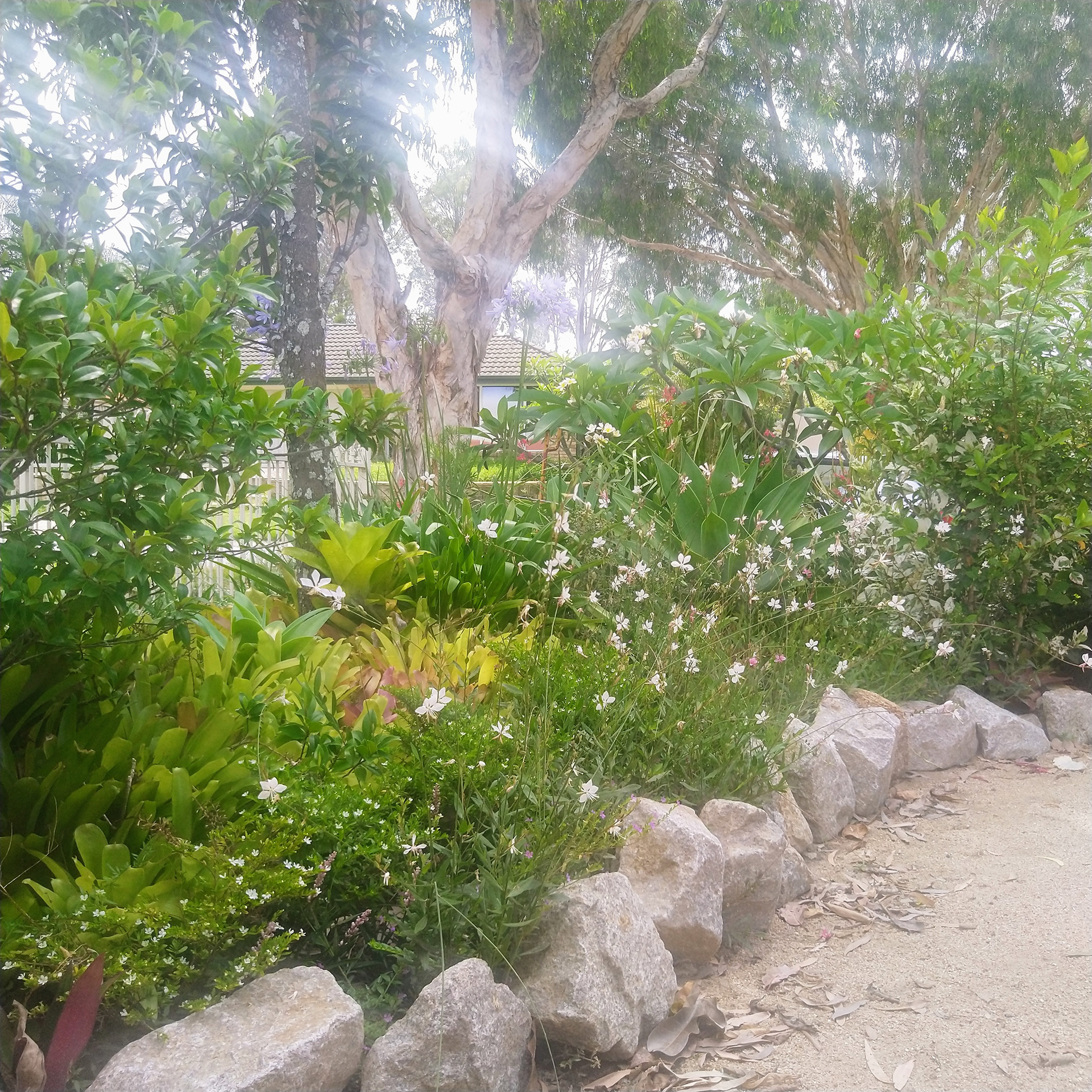 Simple Granite Edging