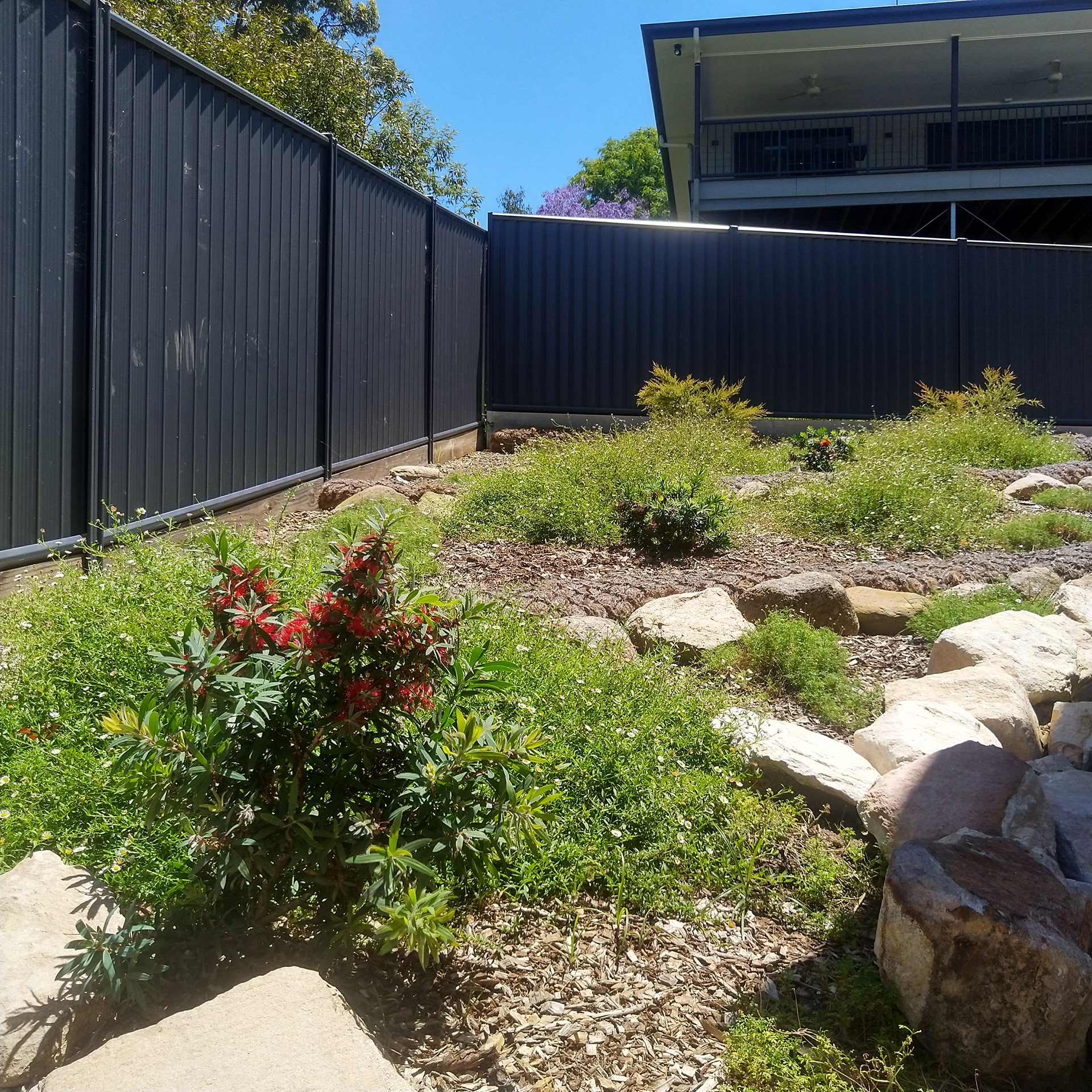 After - 12 Months Growth