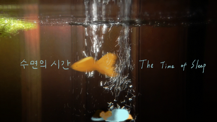 수면의 시간 The Time of Sleep