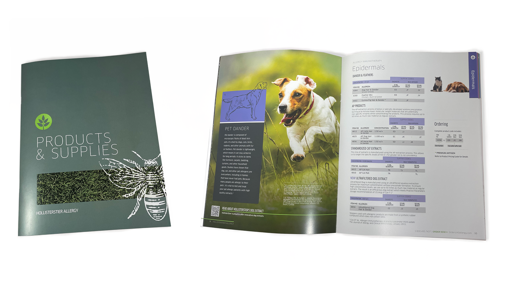 Hollisterstier Allergy catalog and interior with Epidermal section