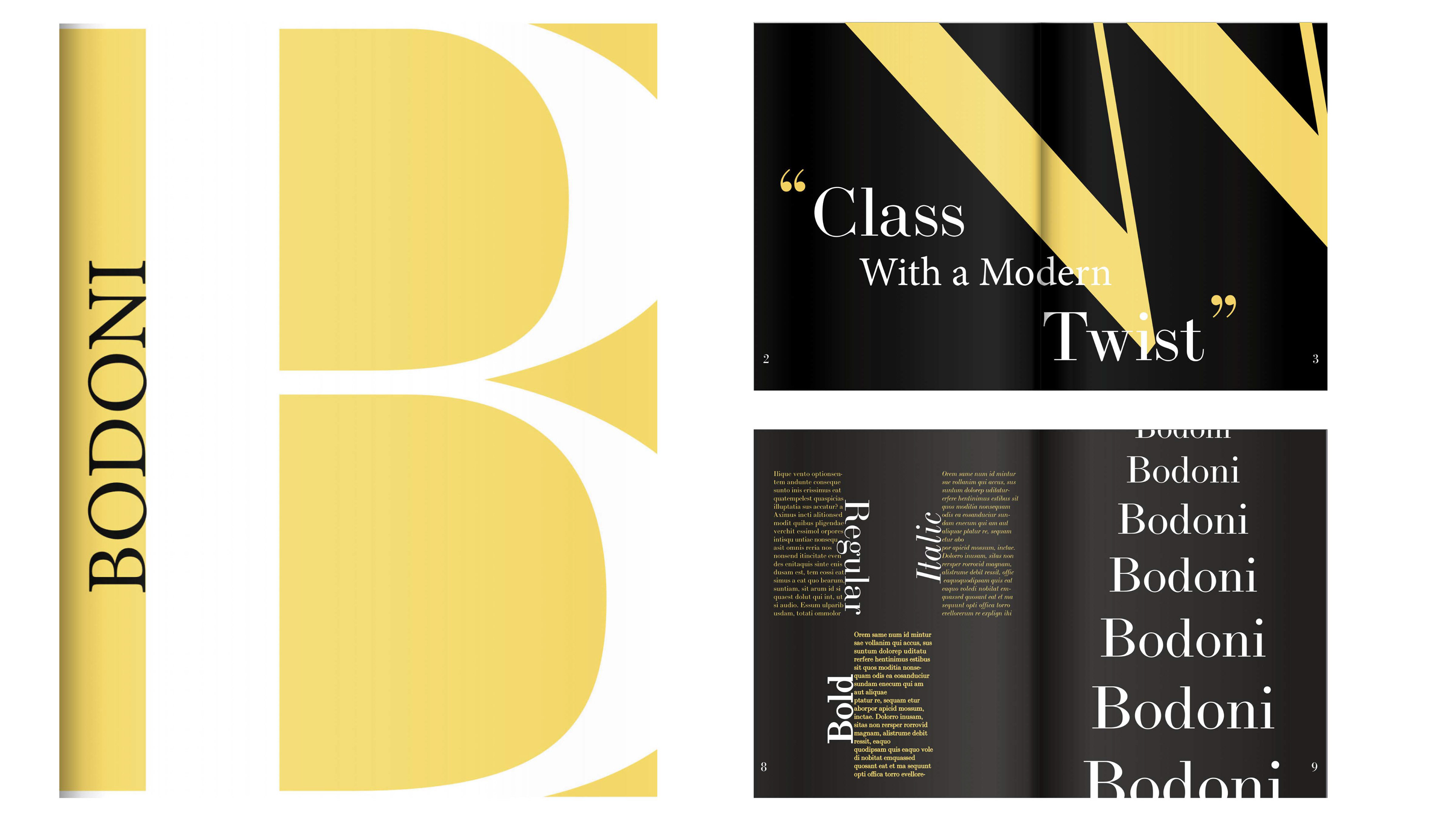 Bodoni Typeface Book