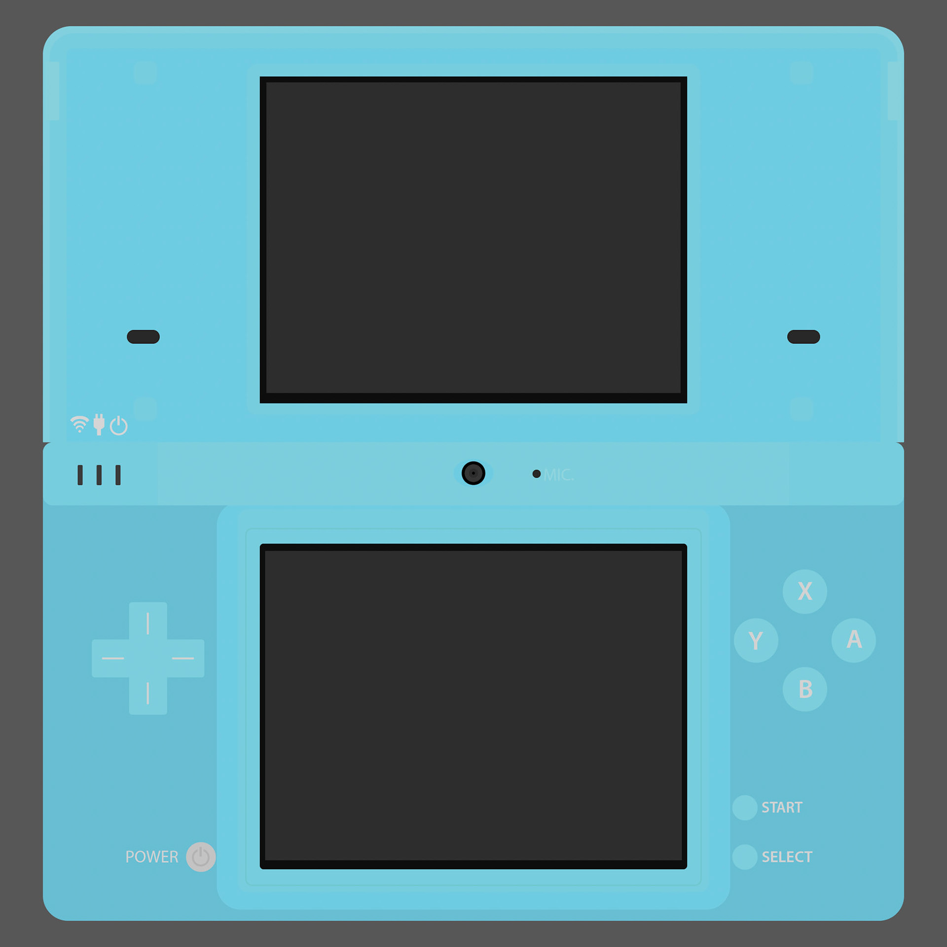 DSi 2008