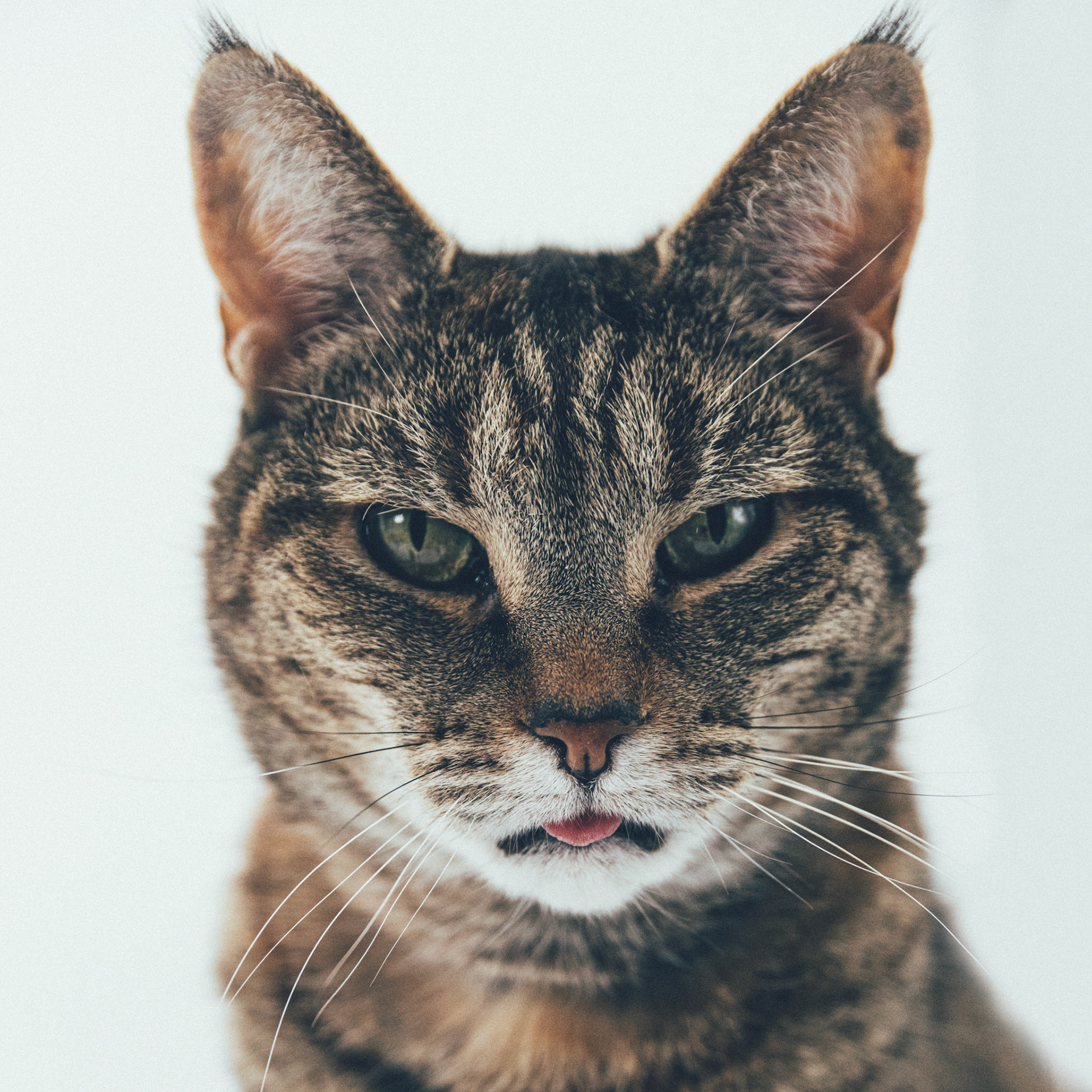 :P