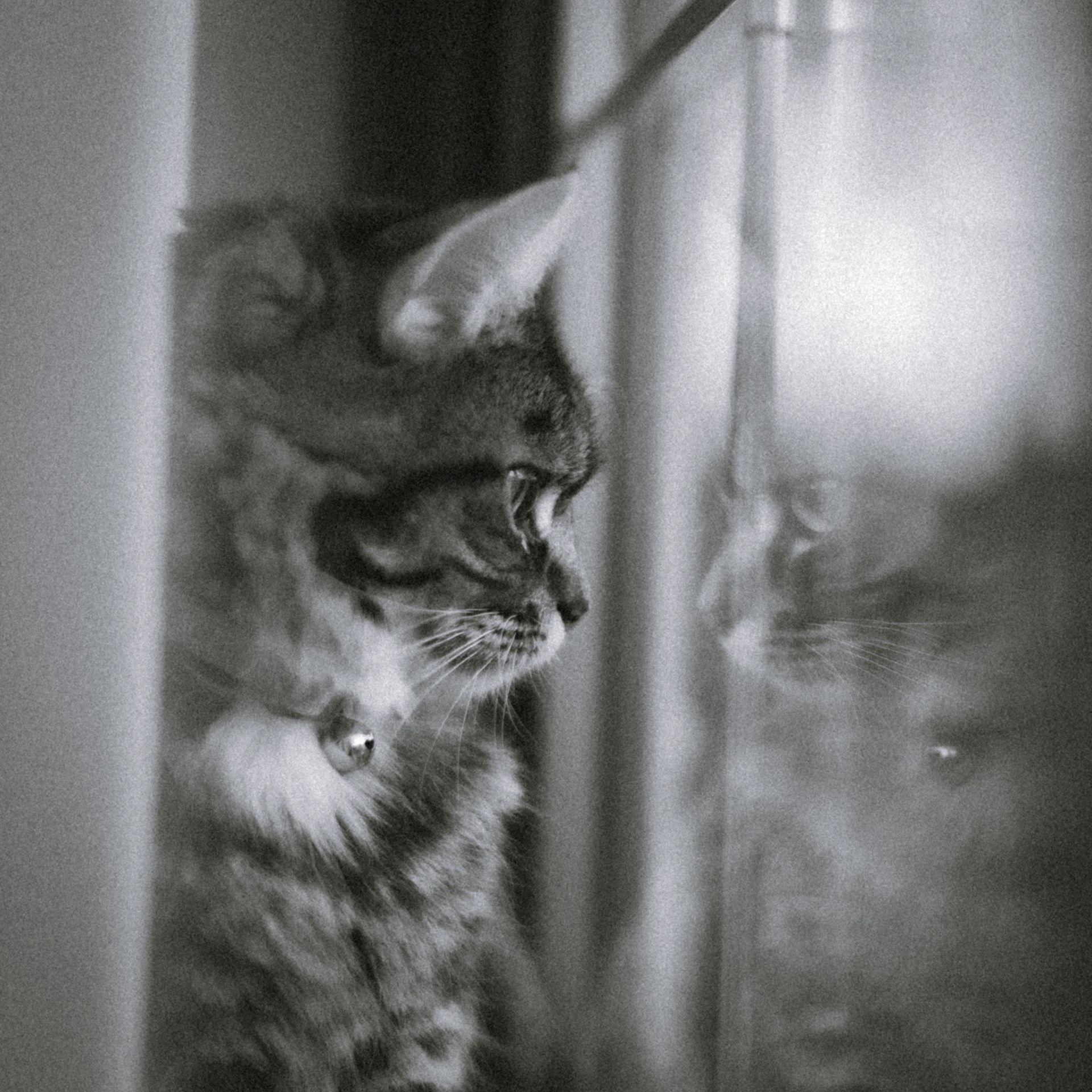 Reflecting