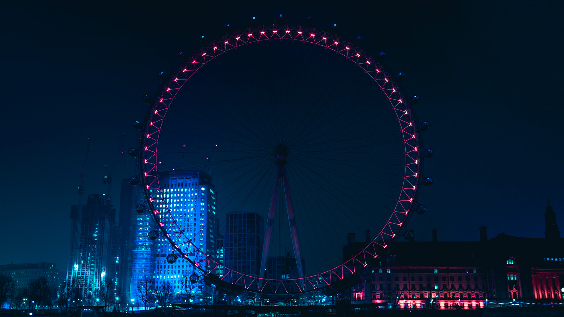 The eye