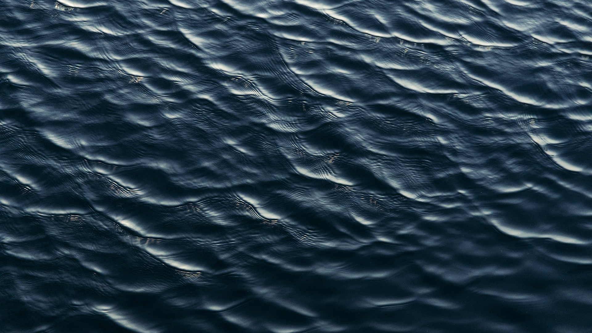 Waves