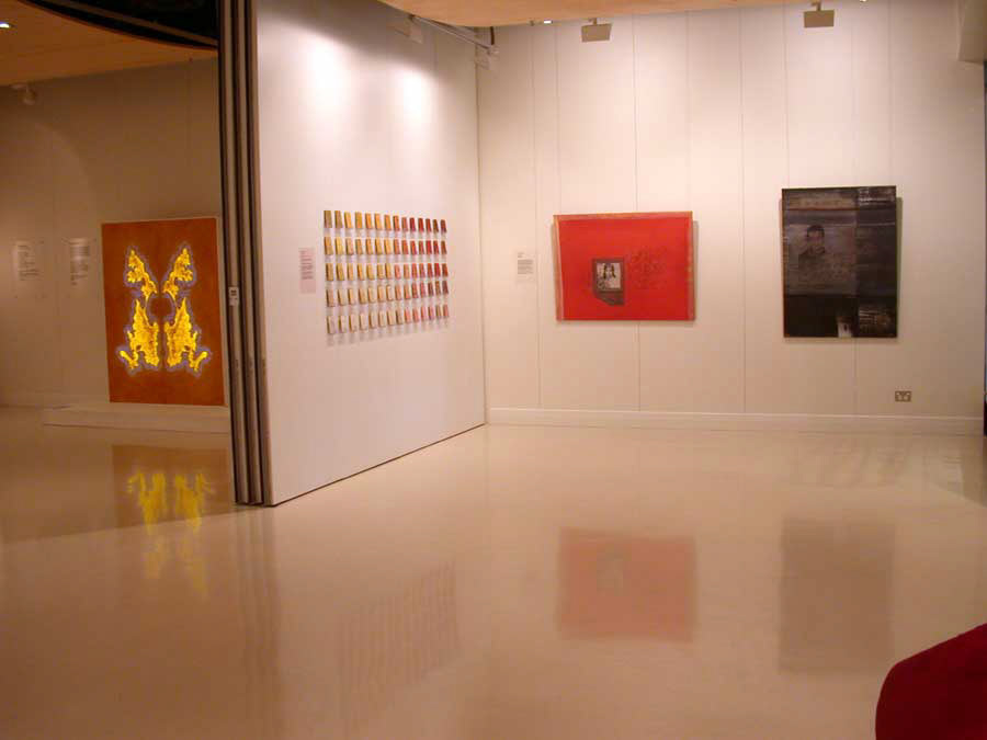 2002 “tides” Counihan Gallery