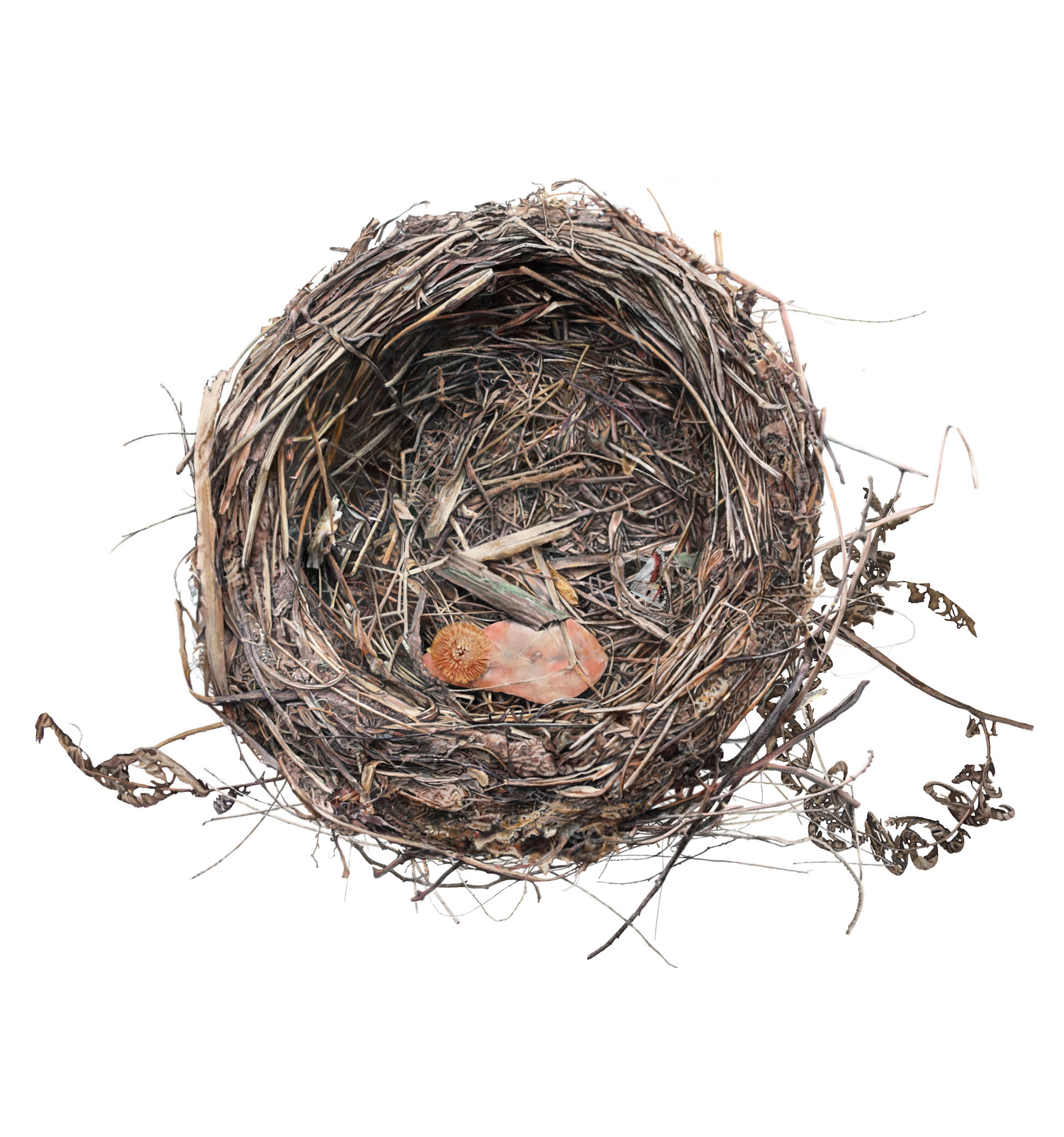 Empty Nest with finds