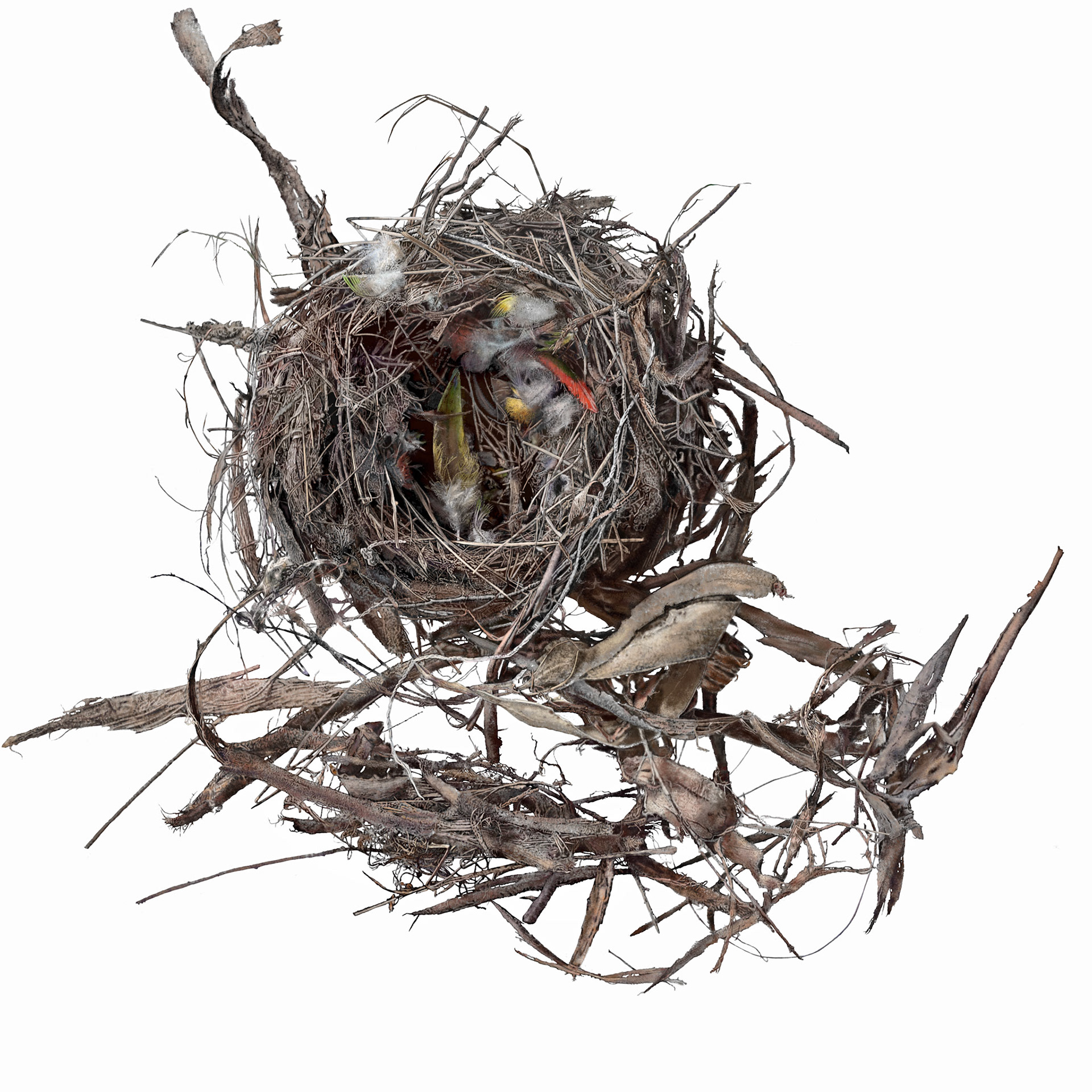 Nest with string