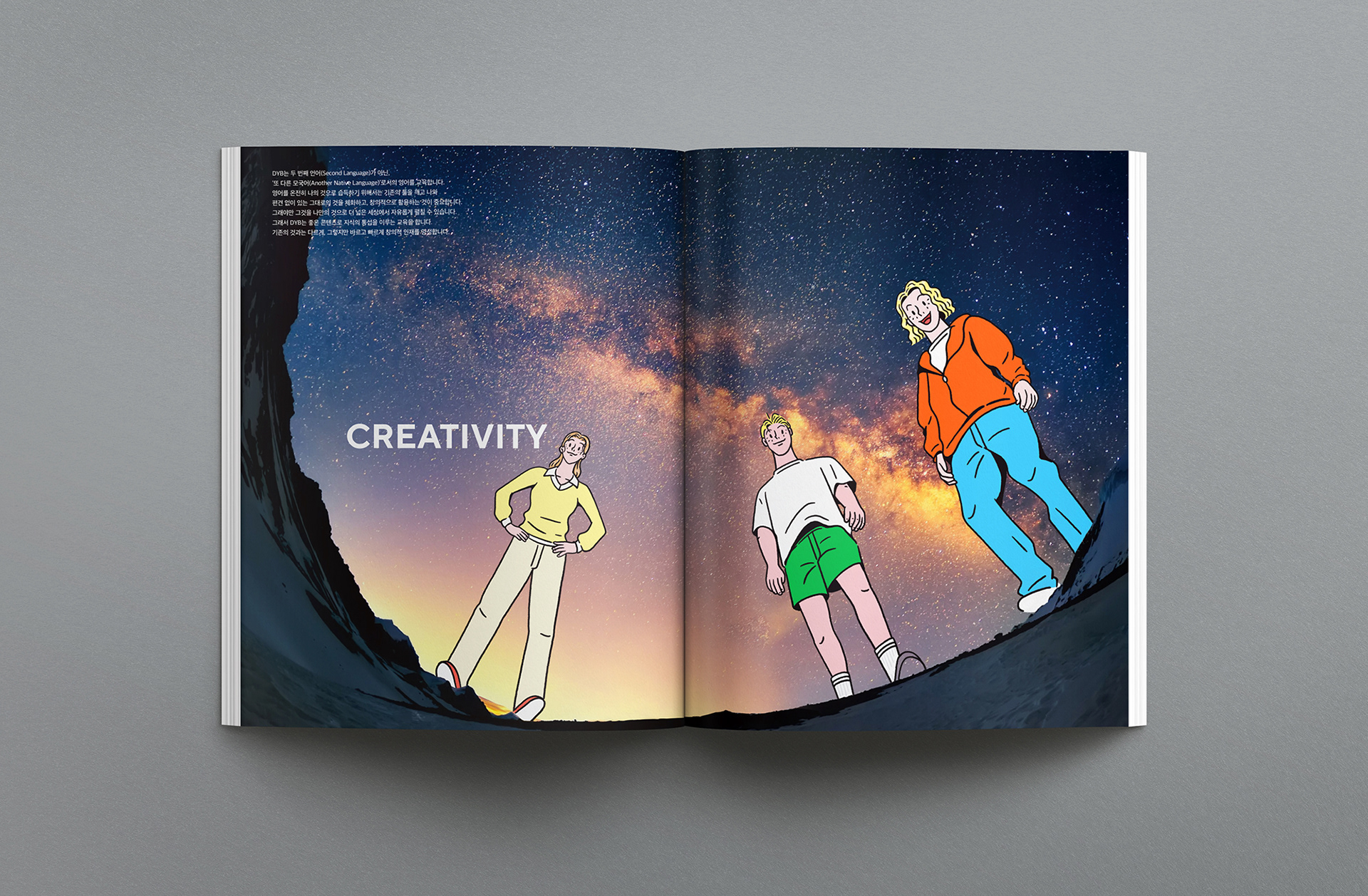 dyb교육 브랜드북 브로슈어 디자인