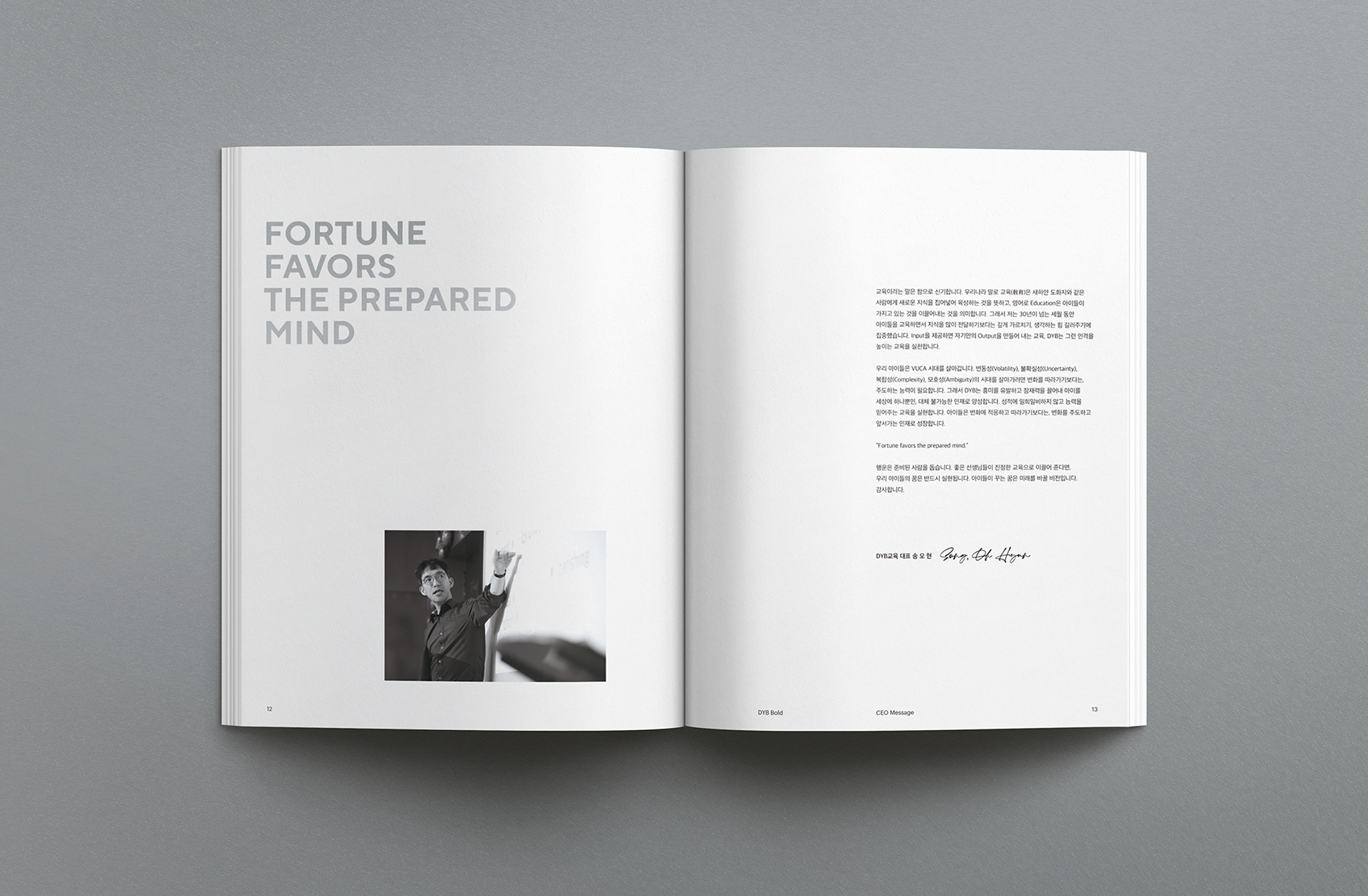 dyb교육 브랜드북 브로슈어 디자인