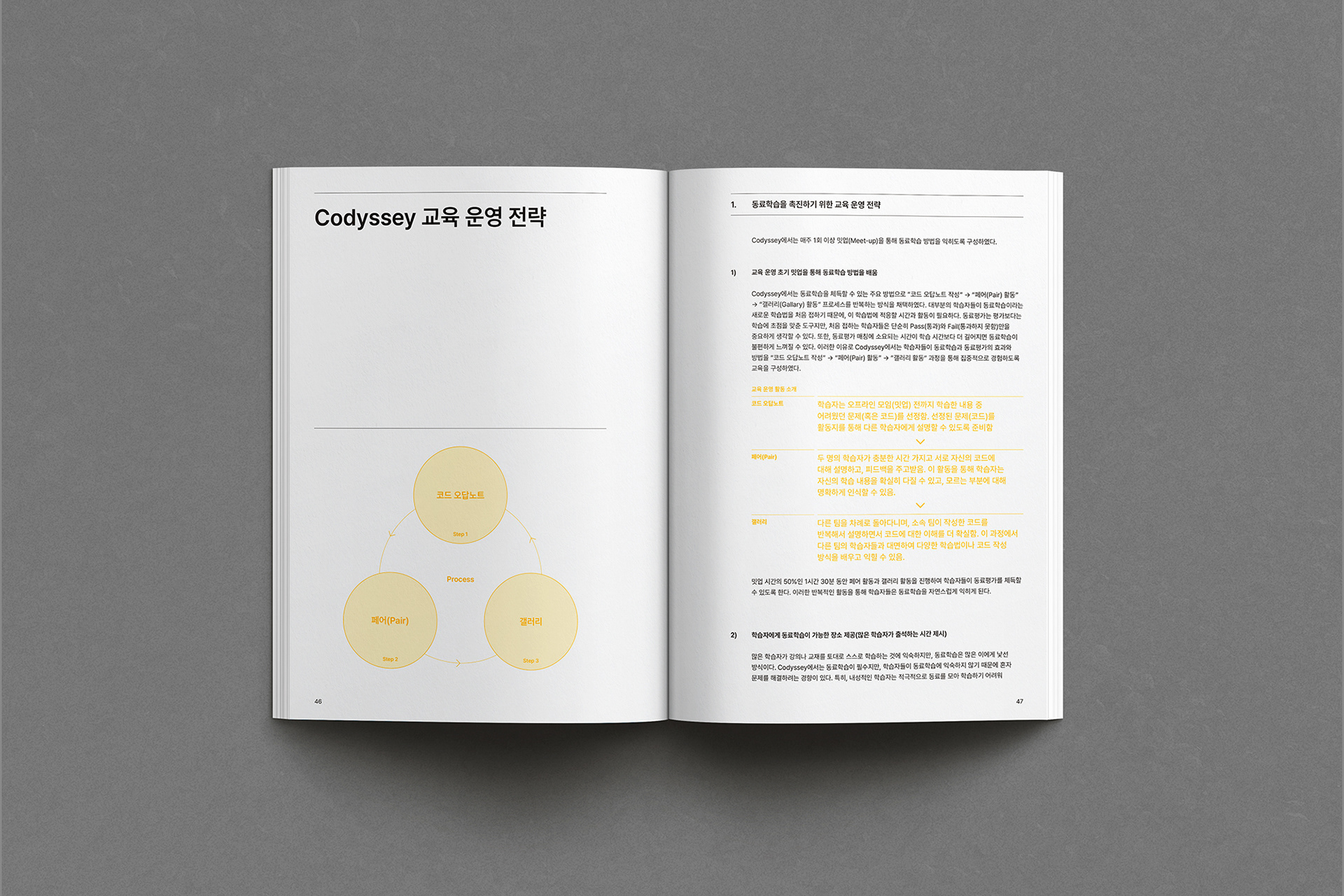 디자인퍼플 코팅 교육운영 프로젝트 메뉴얼북