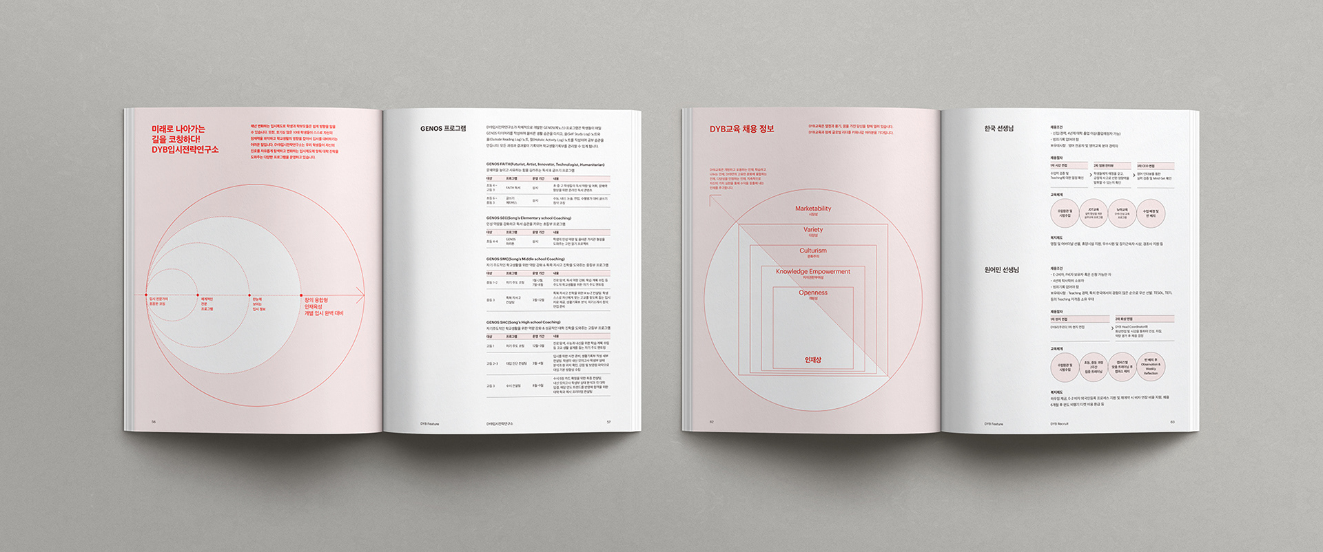 dyb교육 브랜드북 브로슈어 디자인