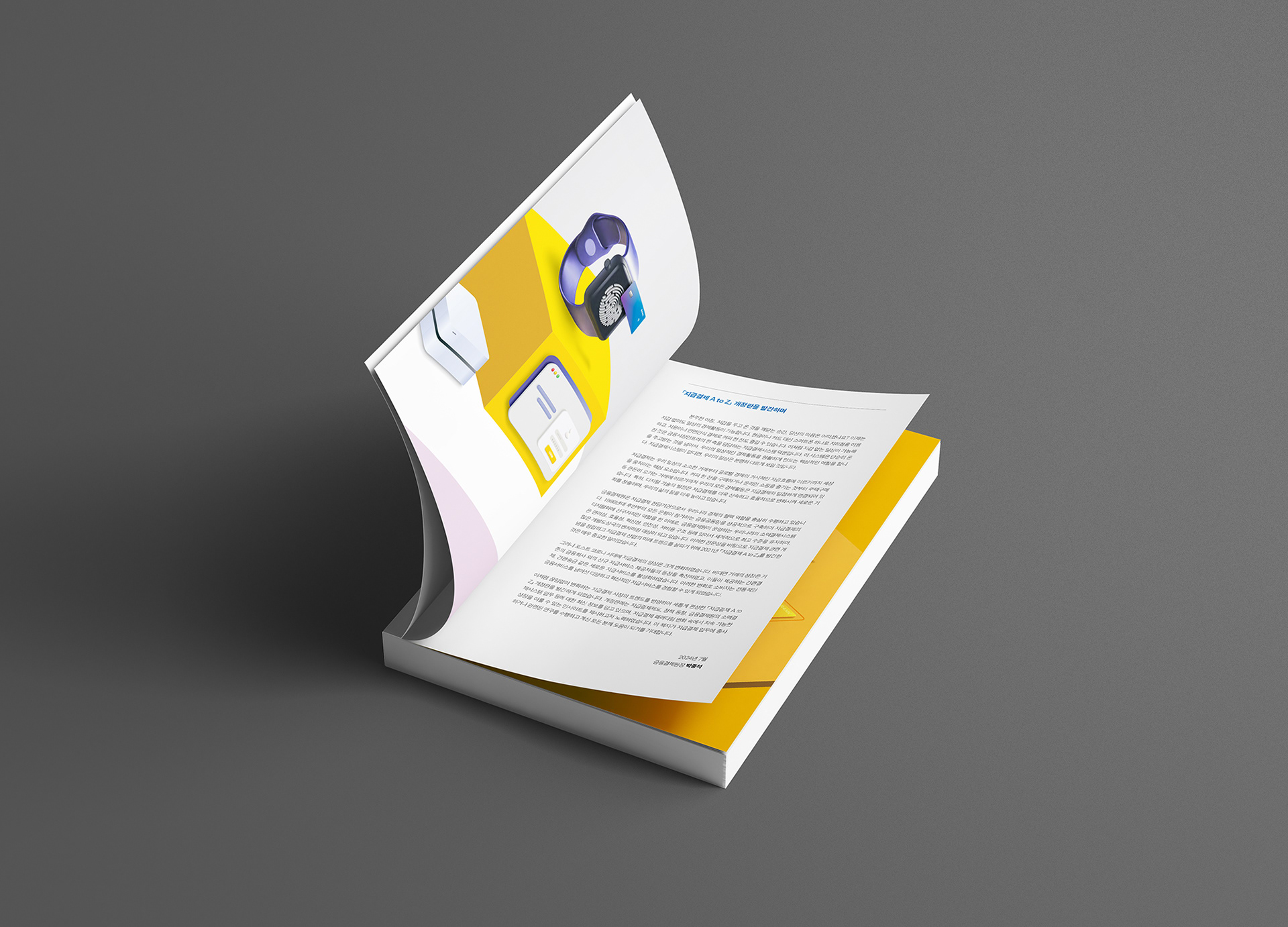 금융결제원 지급결제 안내 브로슈어 디자인