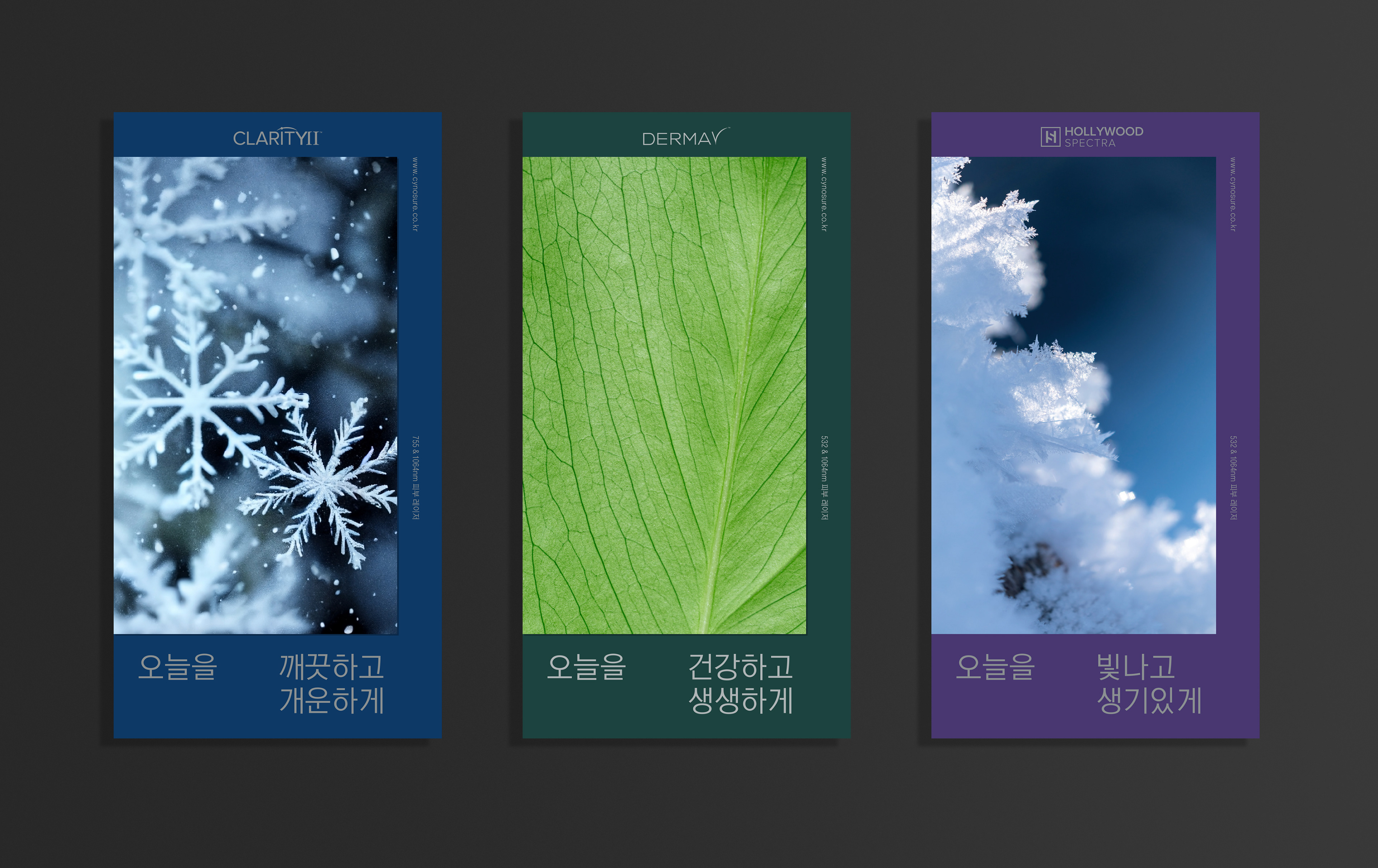 디자인퍼플 피부미용 브랜딩 프로젝트 리플릿