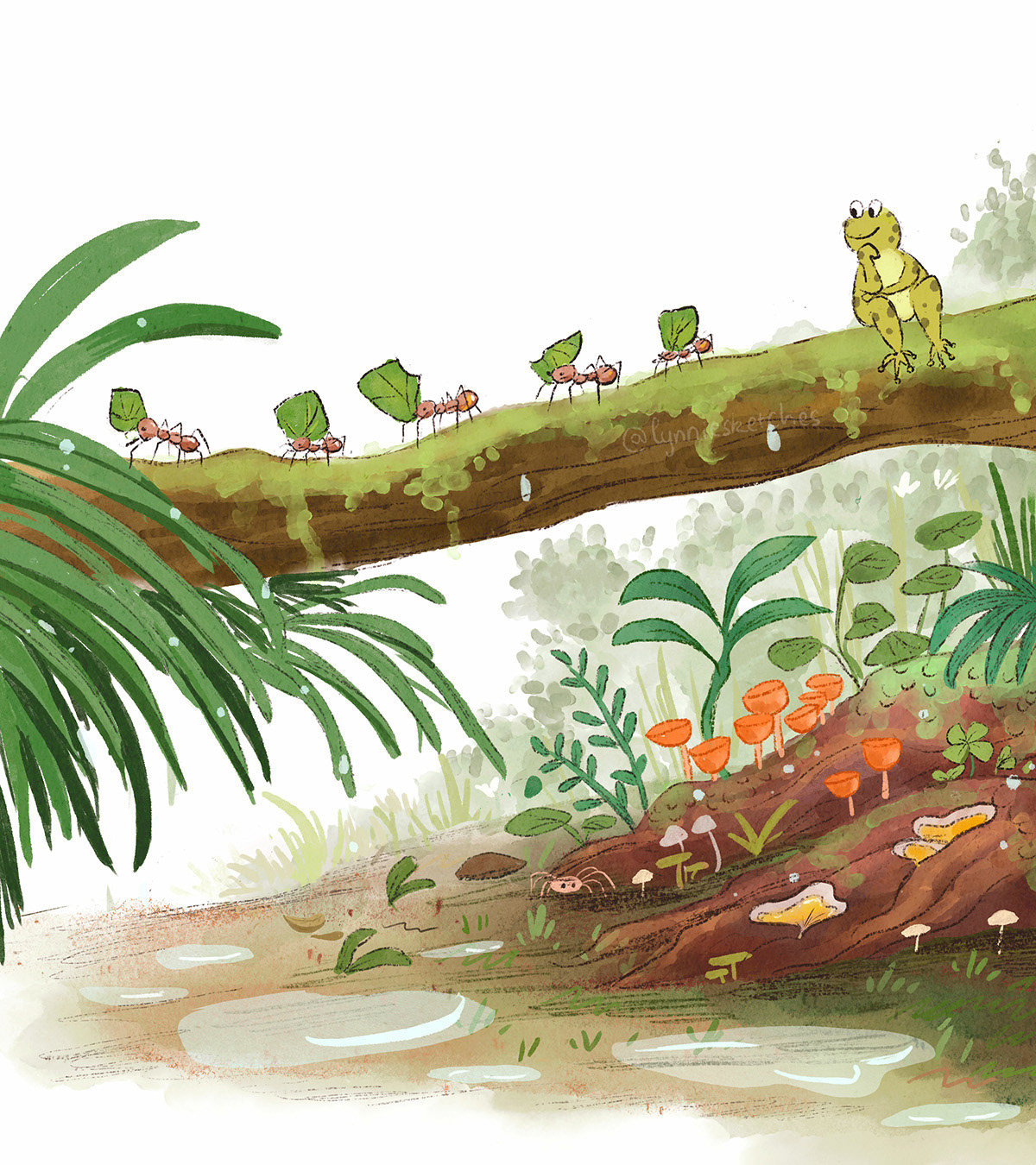 After the Rain