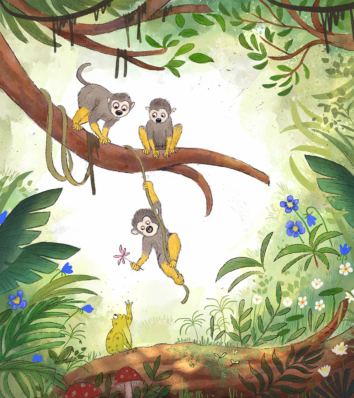 Squirrel Monkeys